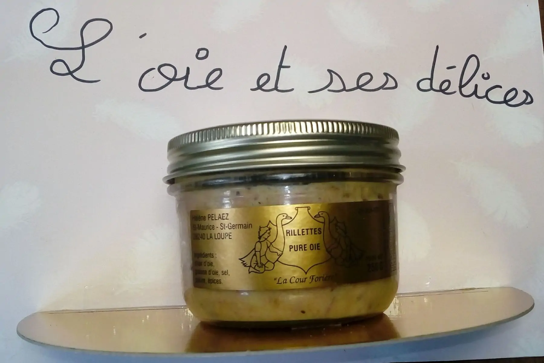 rillettes pure oie