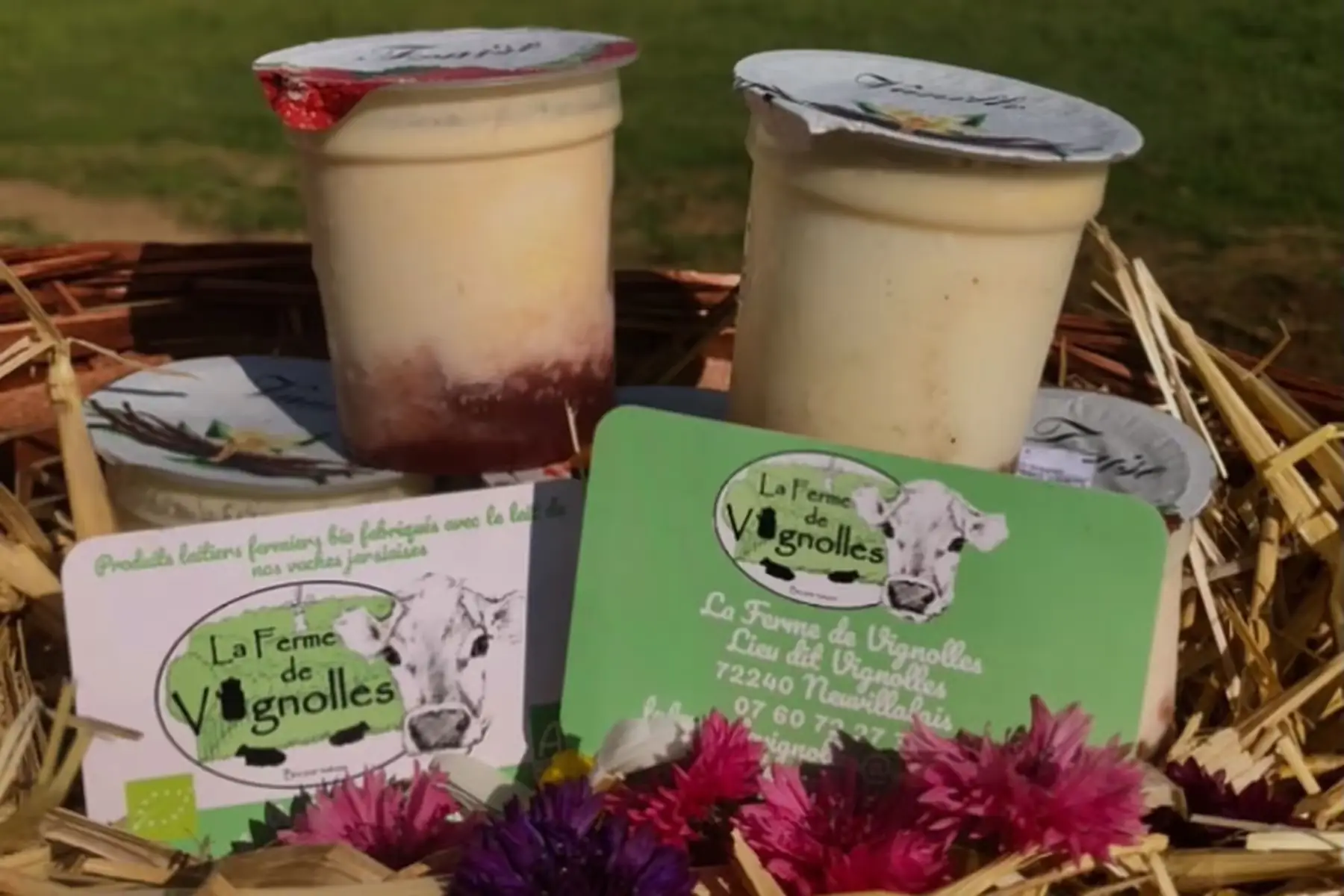 yaourt nature et aux fruits