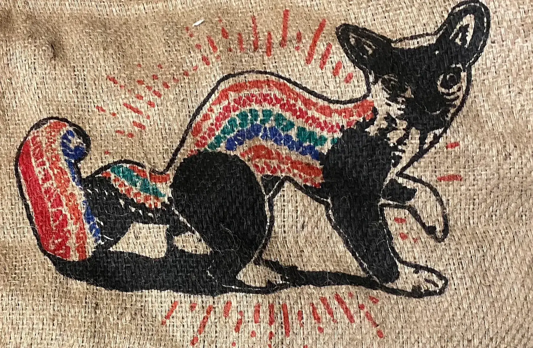 café mexique chocaman biologique