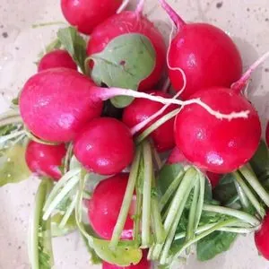 Virginie et Sylvain, Au Jardin TerrMama