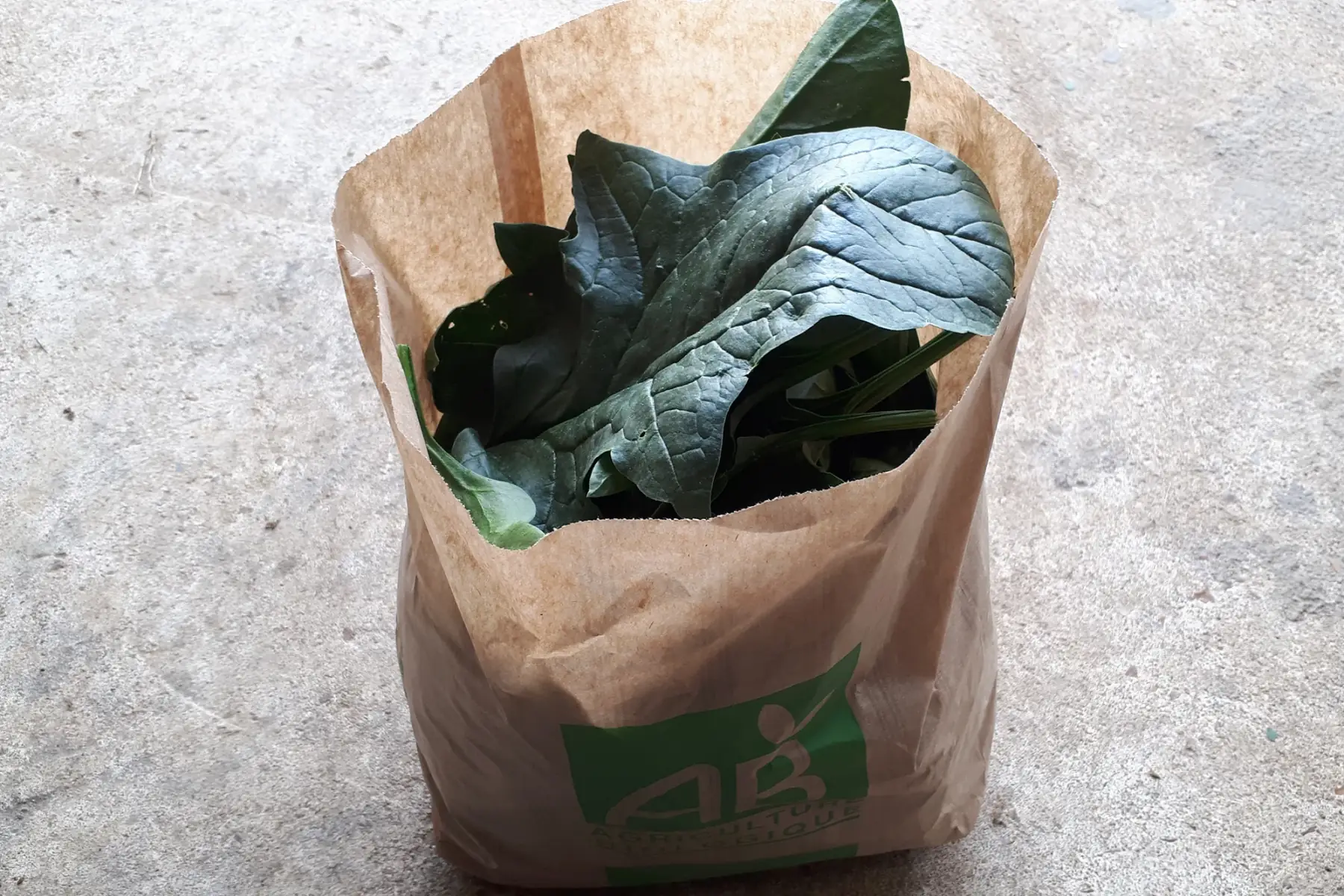 sachet d'épinards 500g (pour 1 personne)