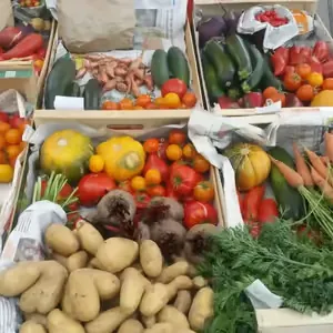 Les légumes d'ici et d'ici