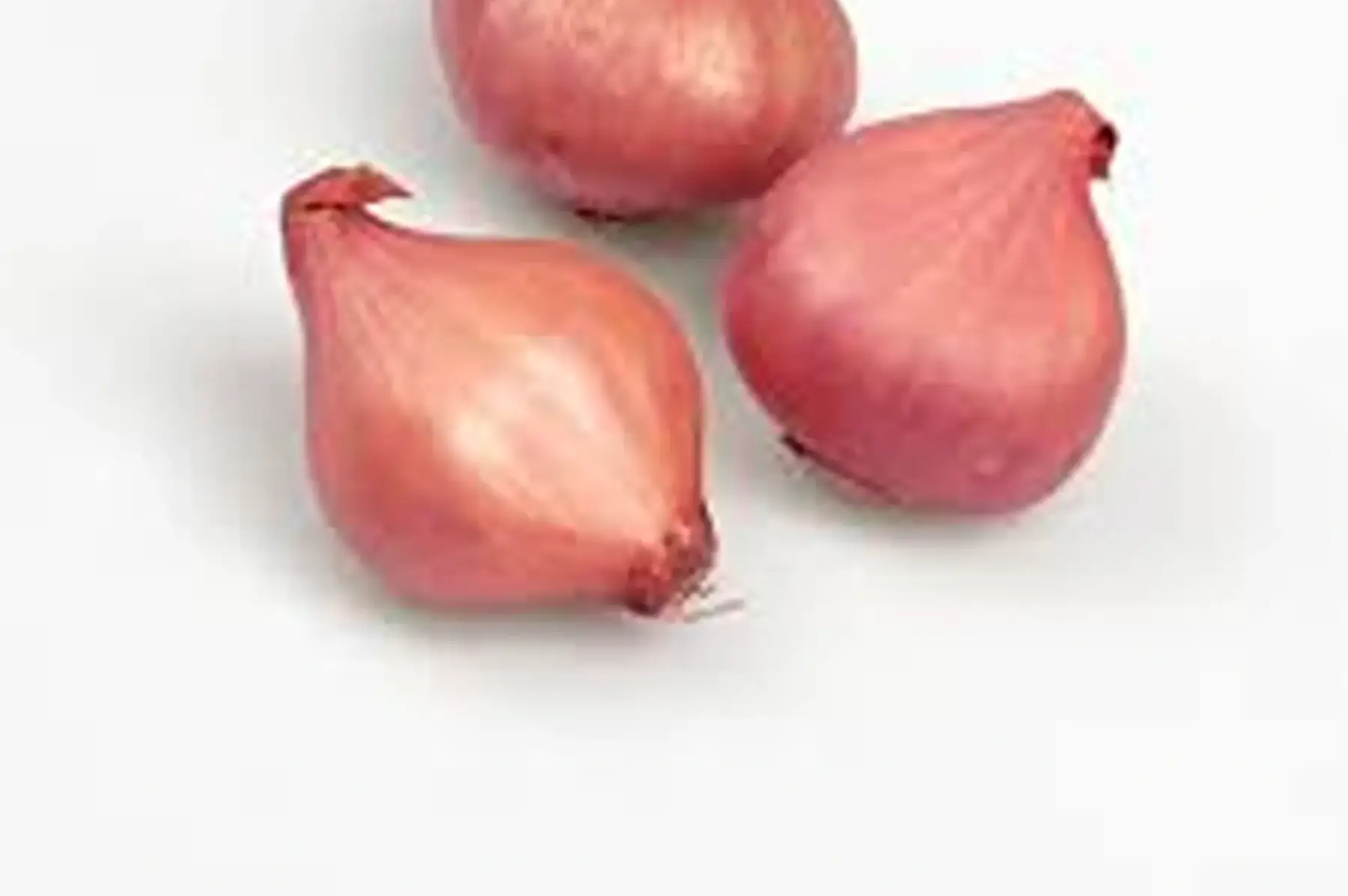 oignon rosé d'Armorique