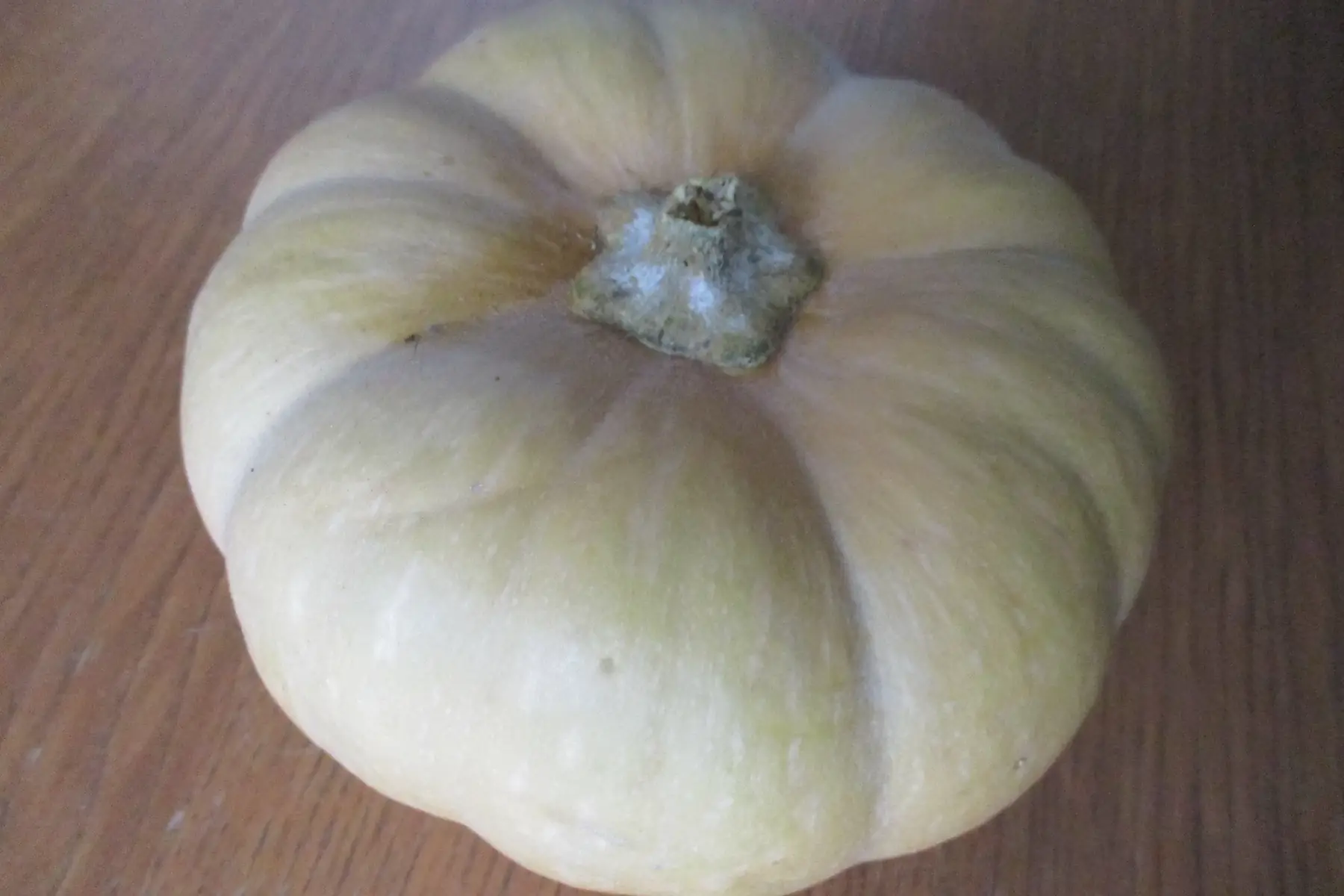 courge carat (mini musquée) -50%