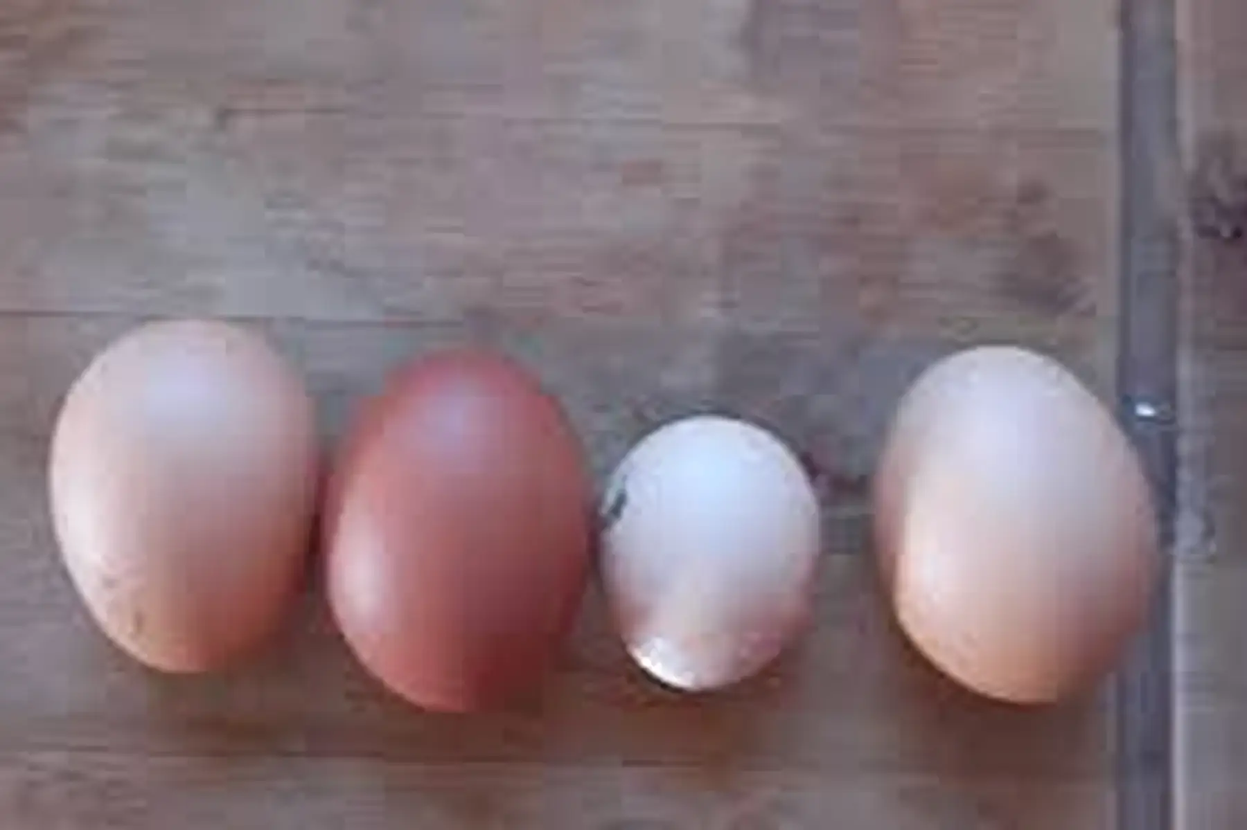 petits œufs plein air (non certifiés agriculture bio)