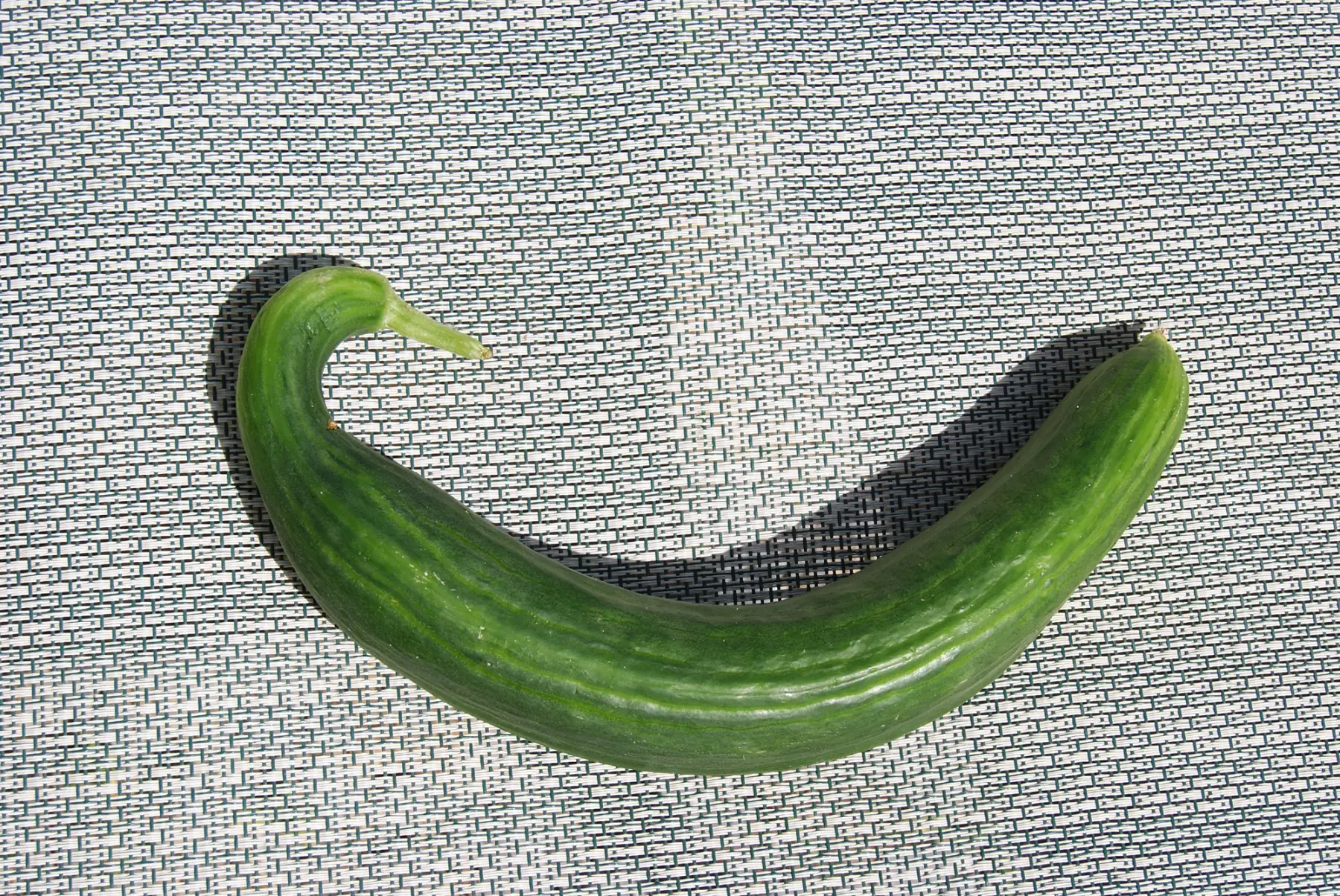 concombre déclassé