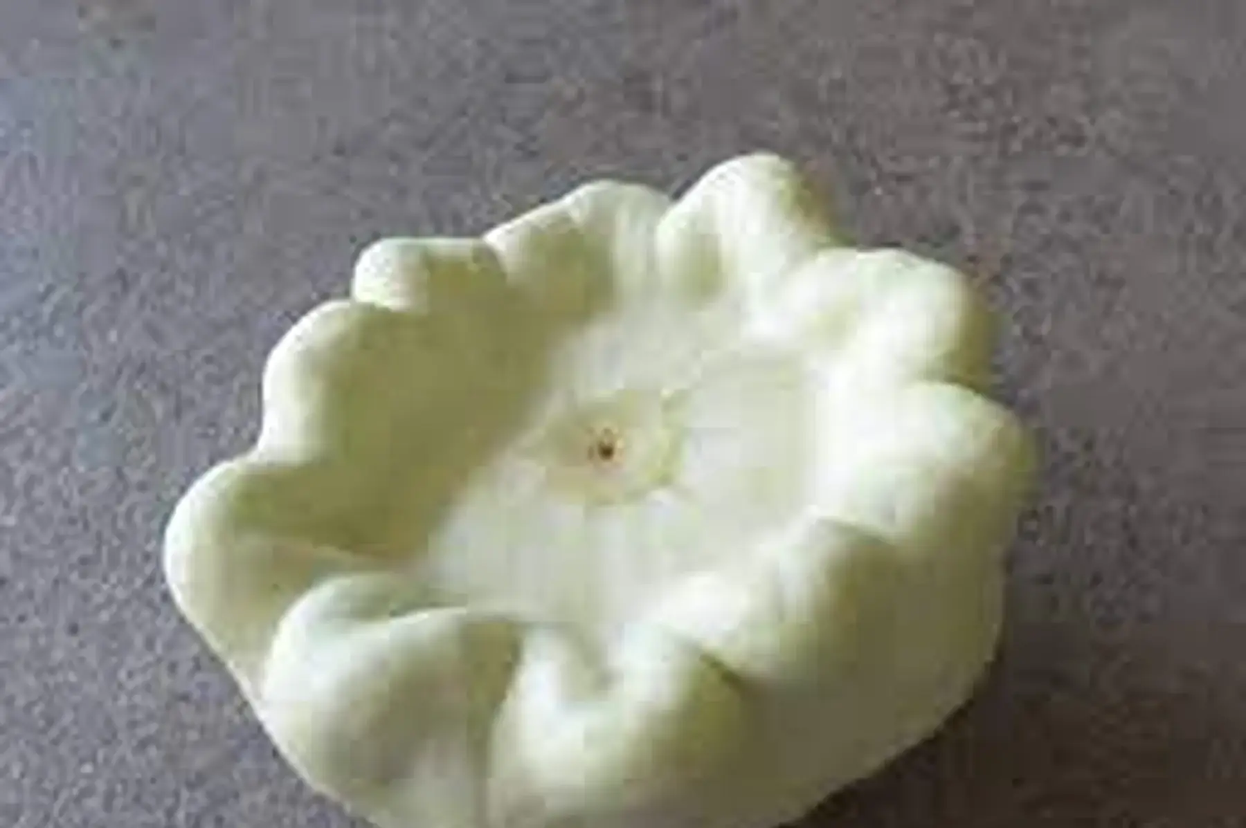 Courge pâtisson blanc