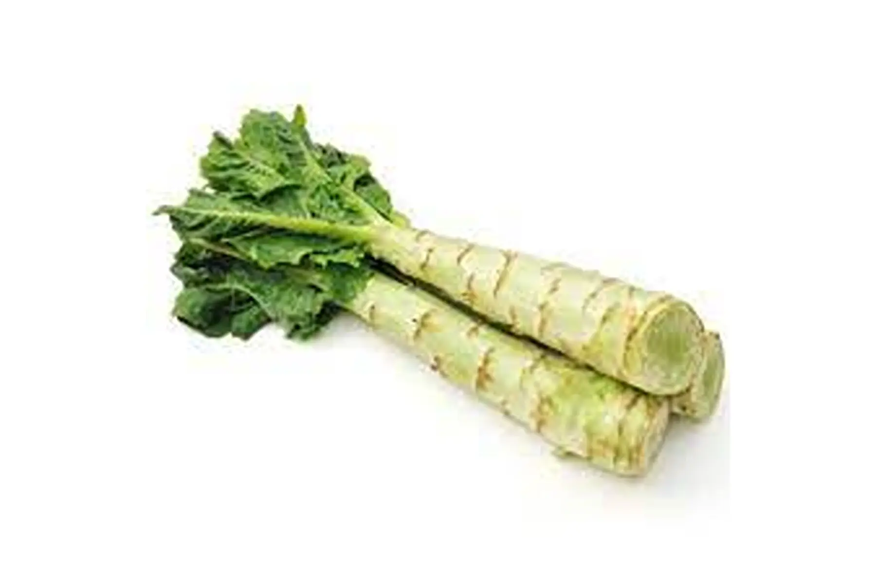 celtuce (laitue asperge)
