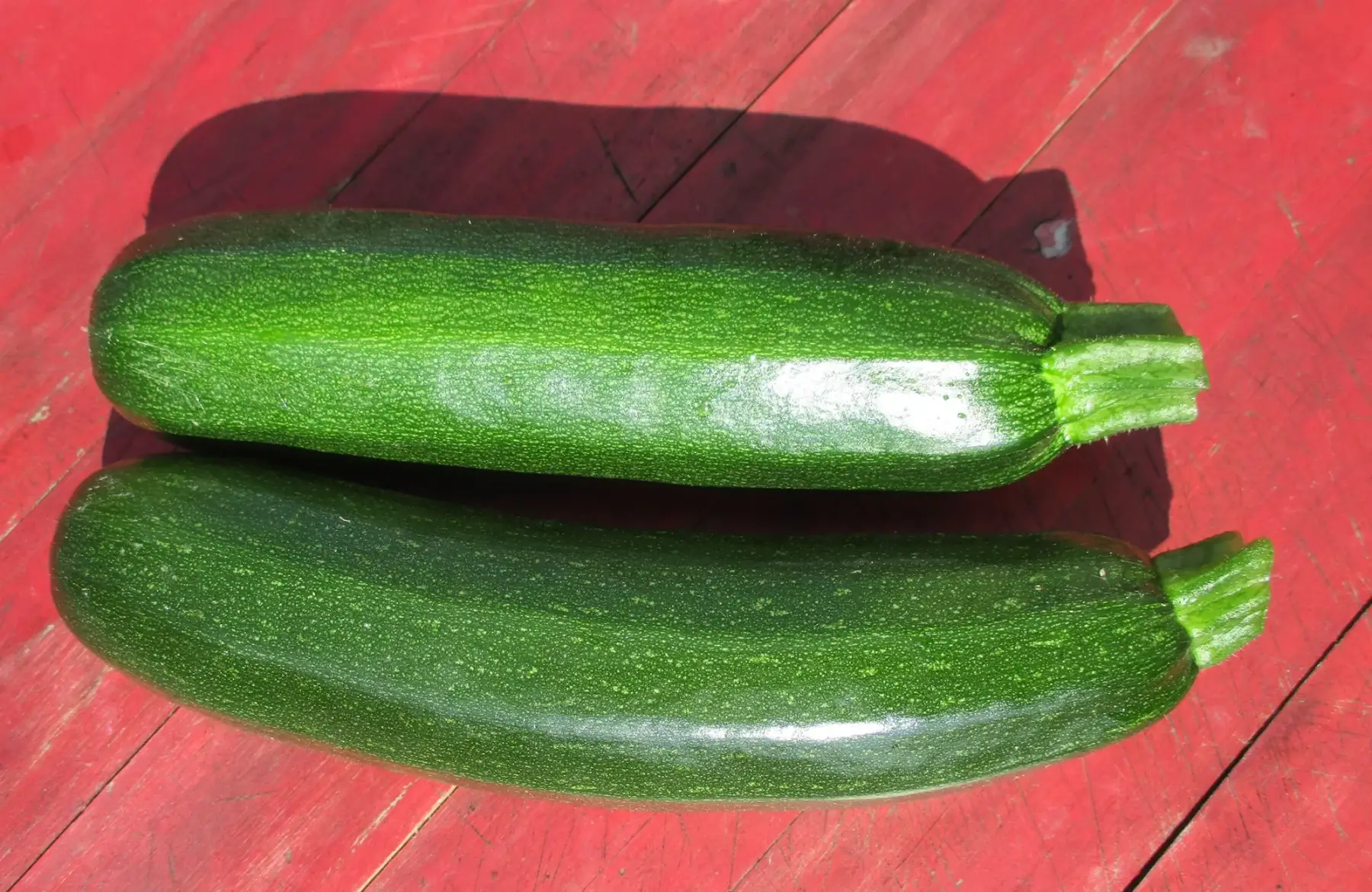 courgette verte