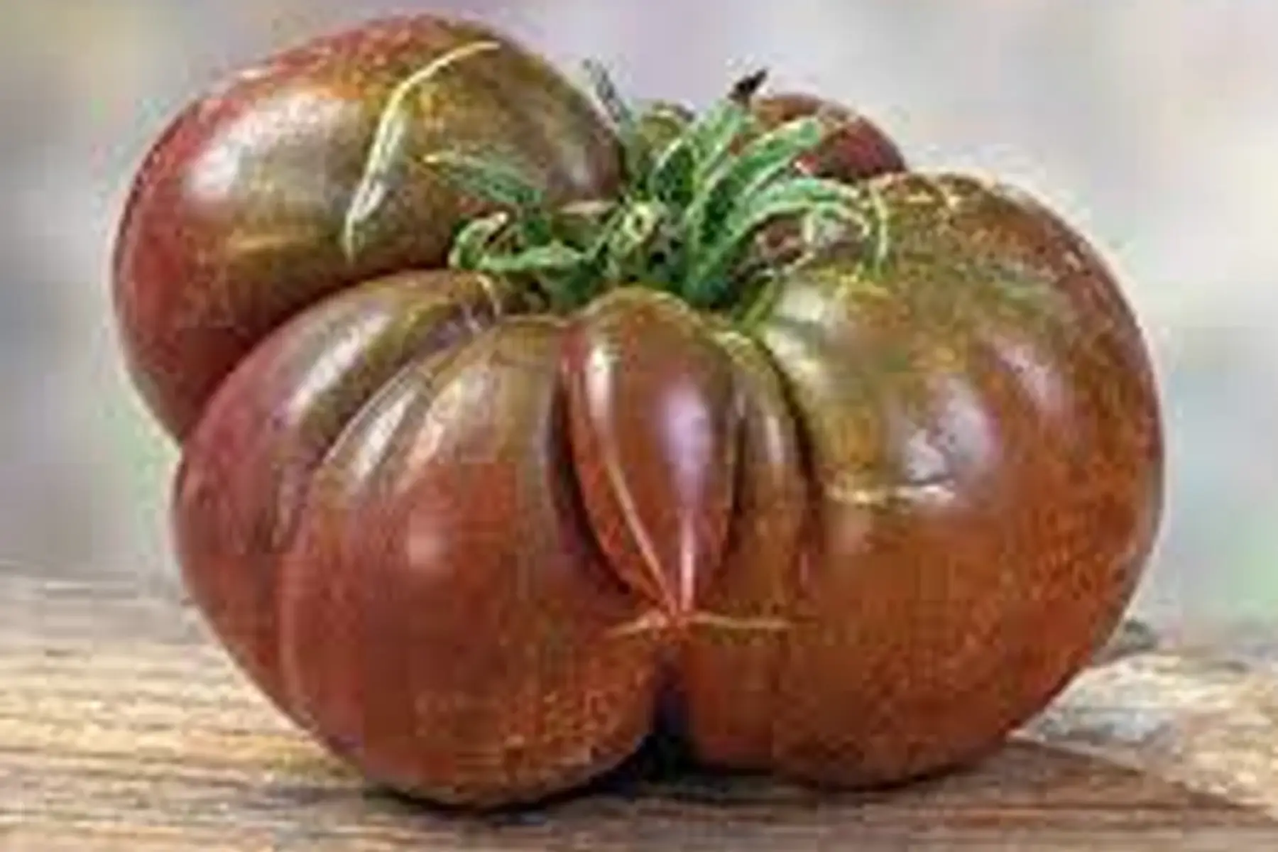 tomate noire de crimée