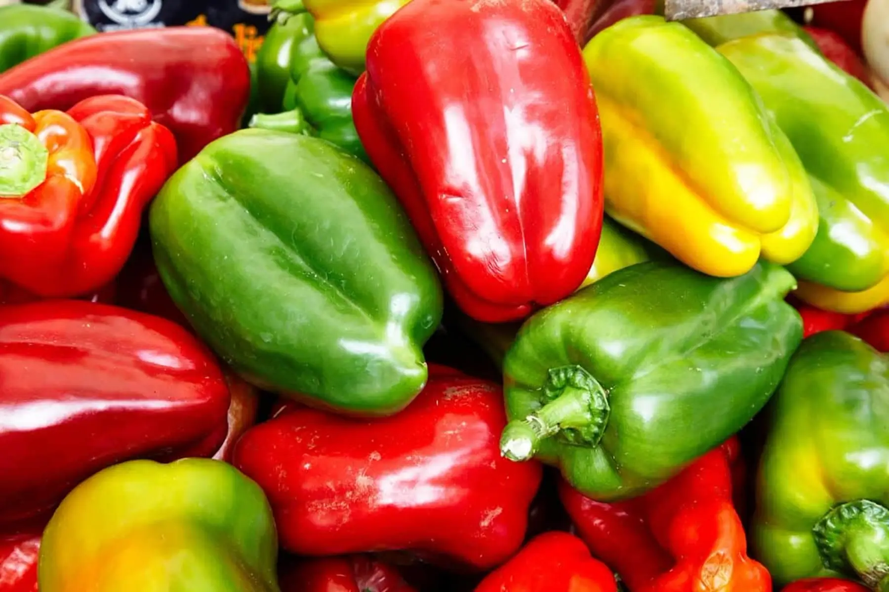 Colis de beaux poivrons à cuisiner