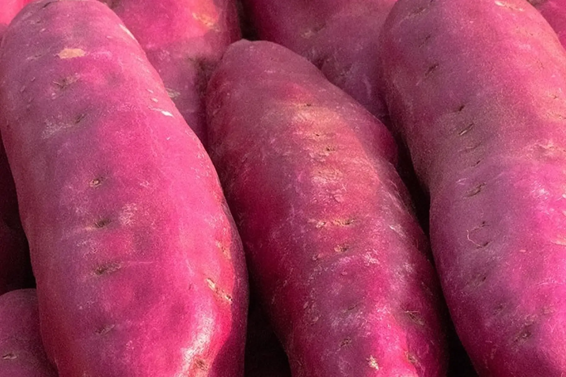 patate douce violette à chair blanche