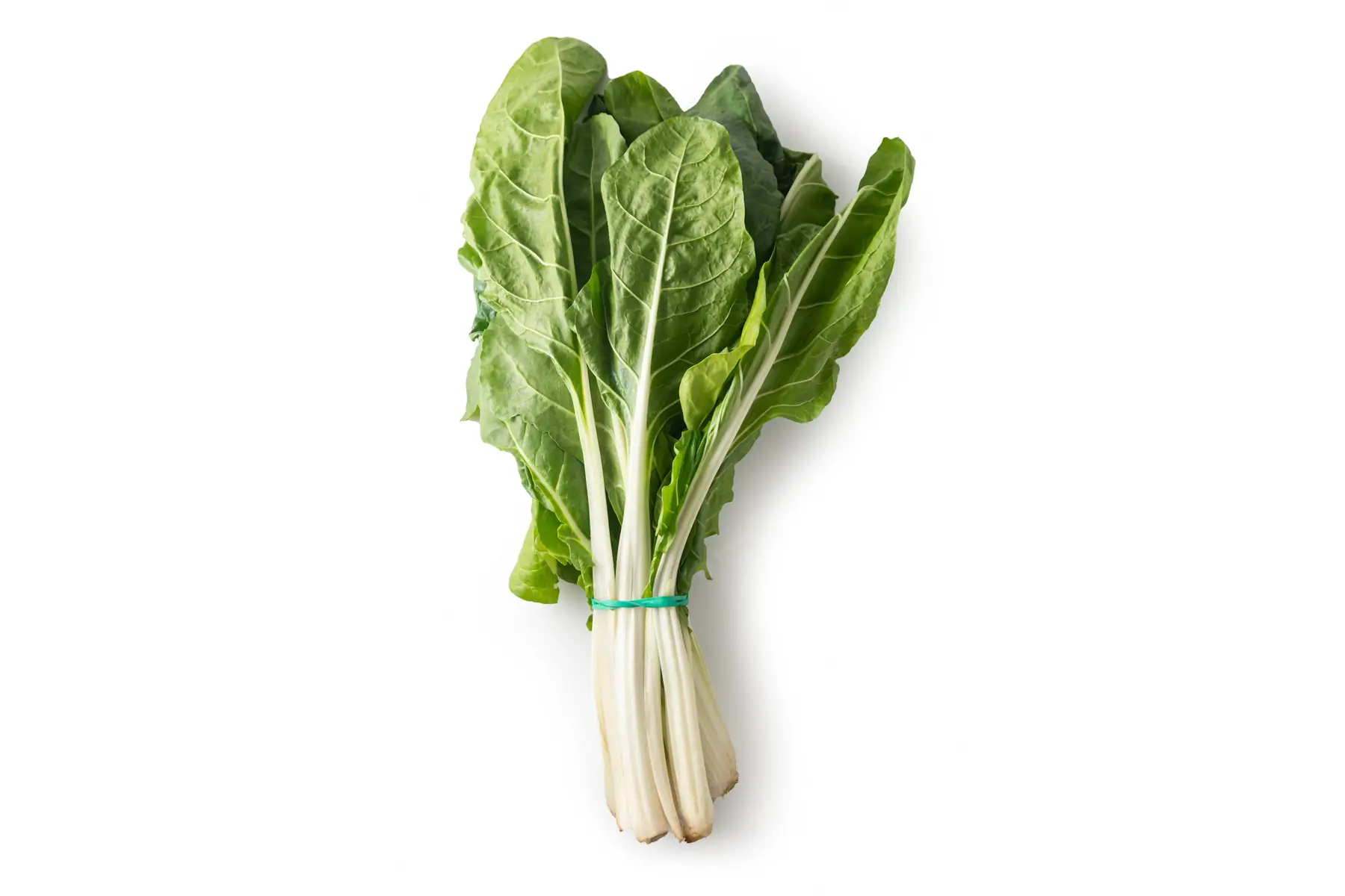 blettes à cardes blanches la botte