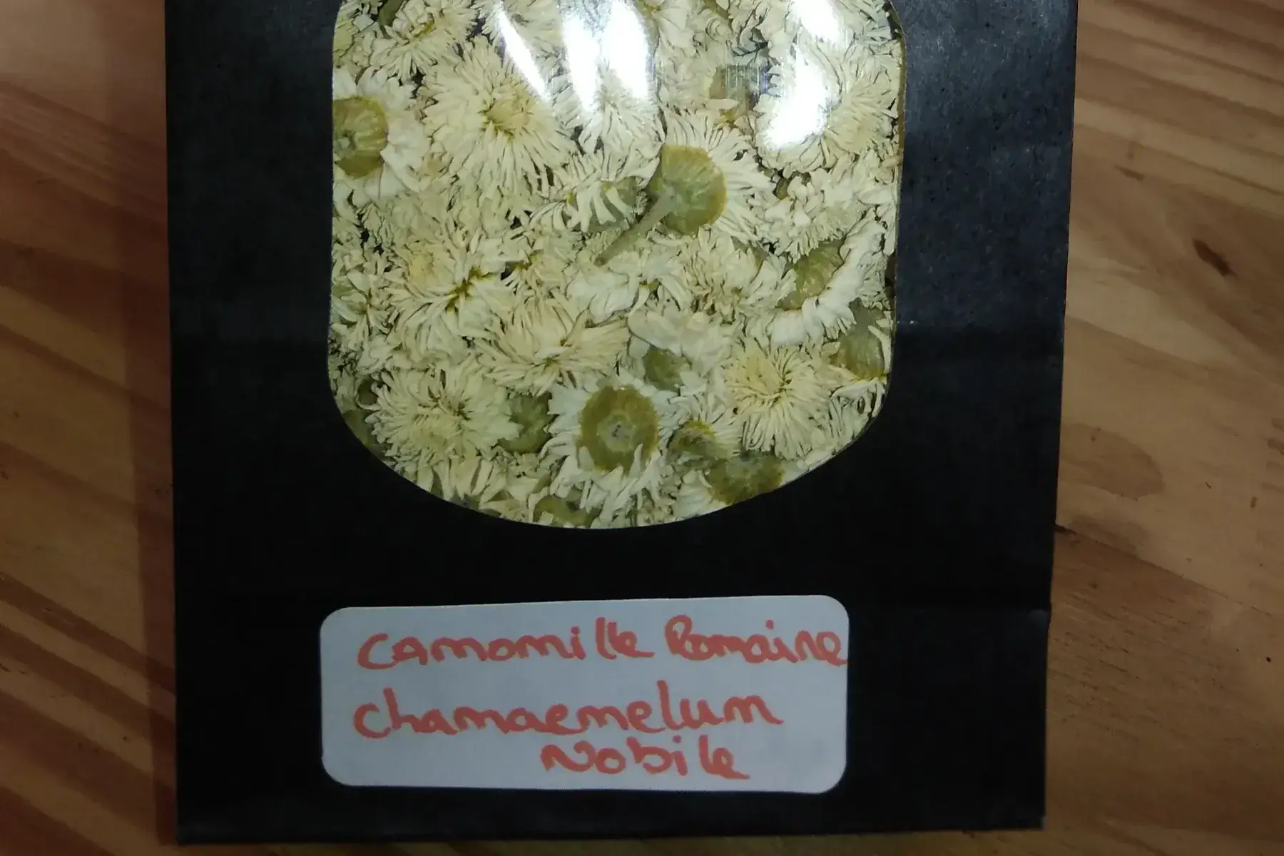 infusion camomille romaine