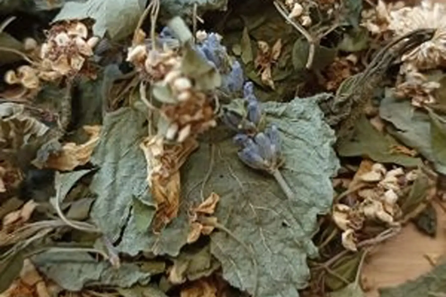 Tisane "Les fées zen !"
