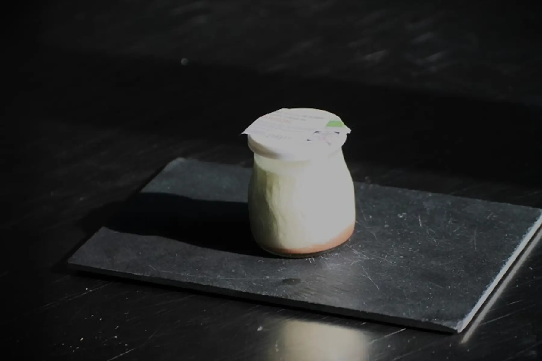 yaourts pêche bicouche