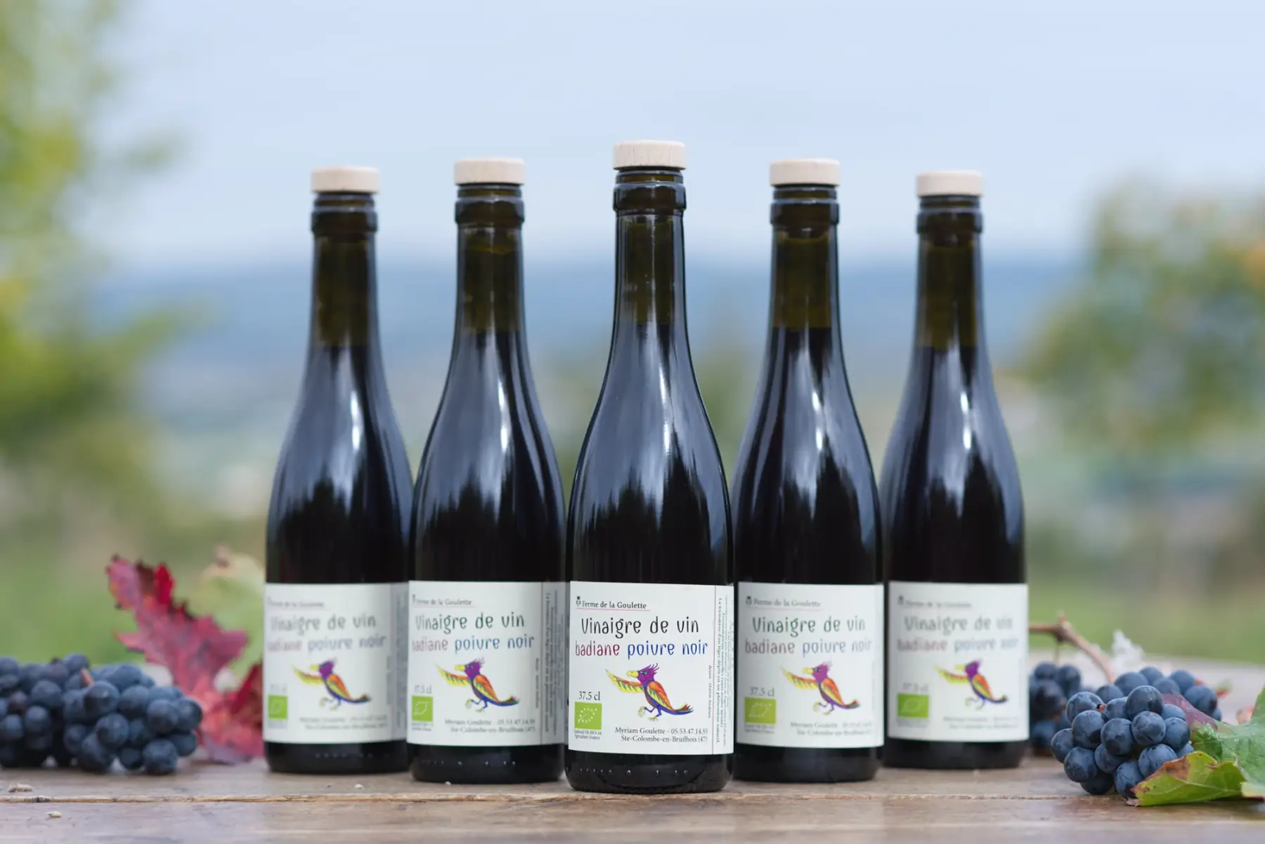 vinaigre de vin rouge badiane-poivre noir