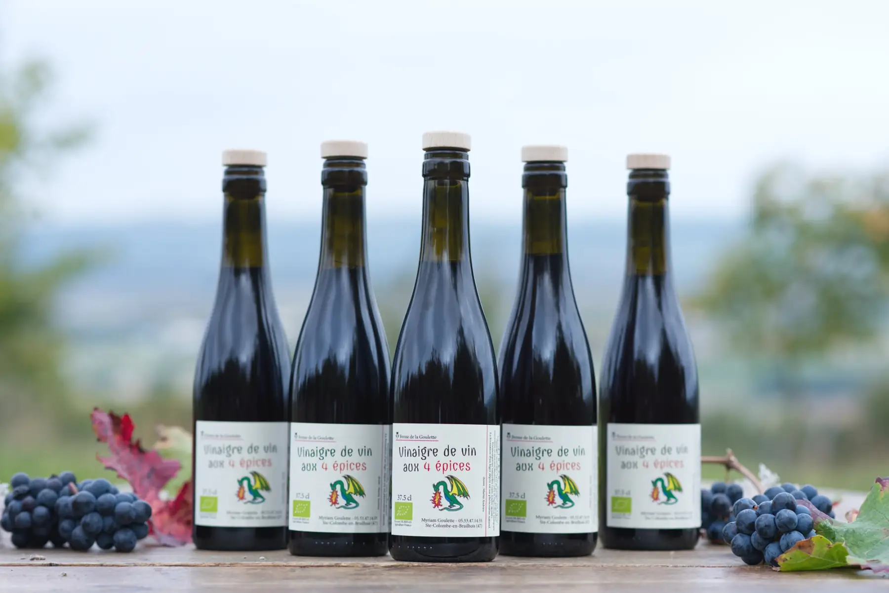 vinaigre de vin rouge aux 4 épices