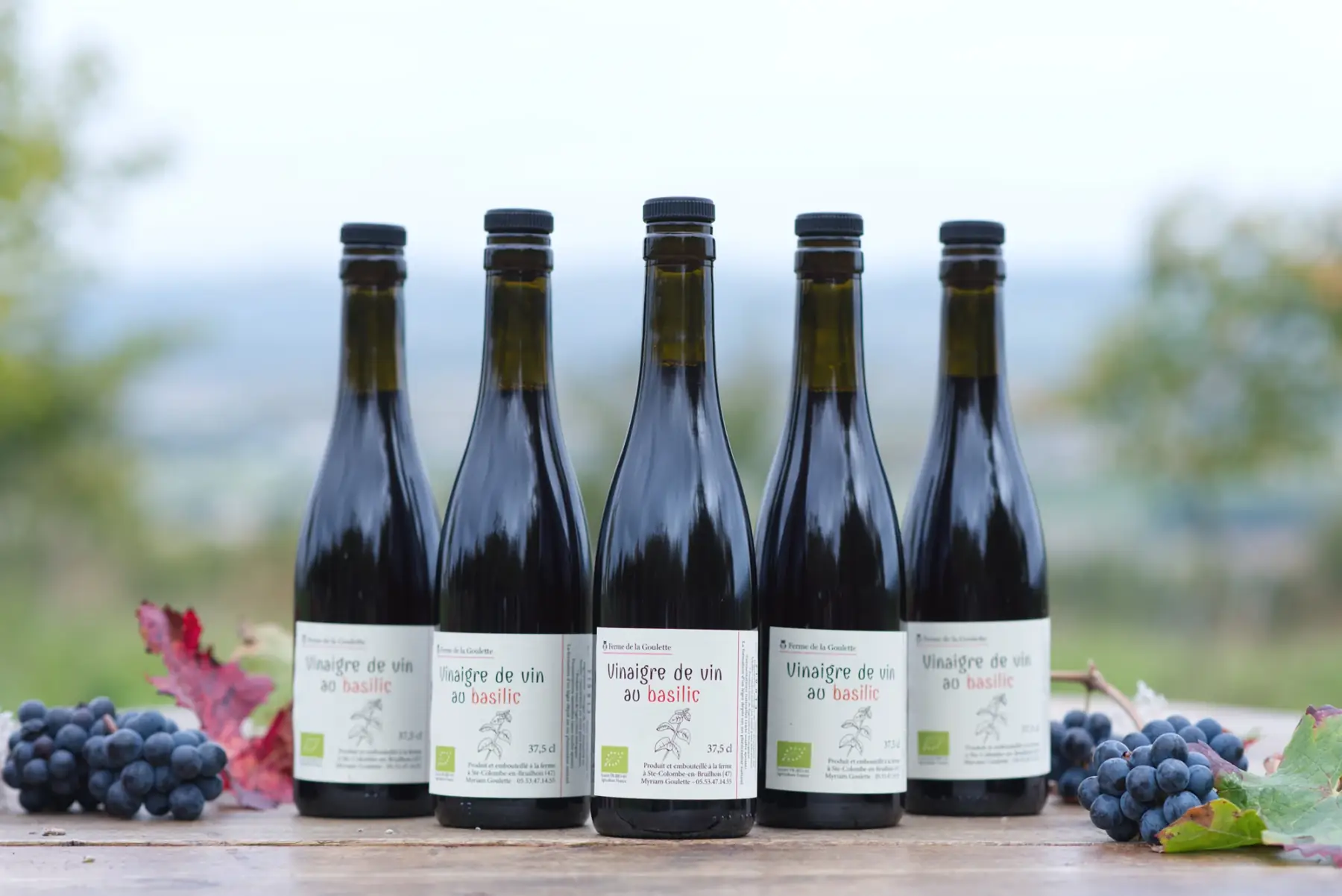 vinaigre de vin rouge au basilic