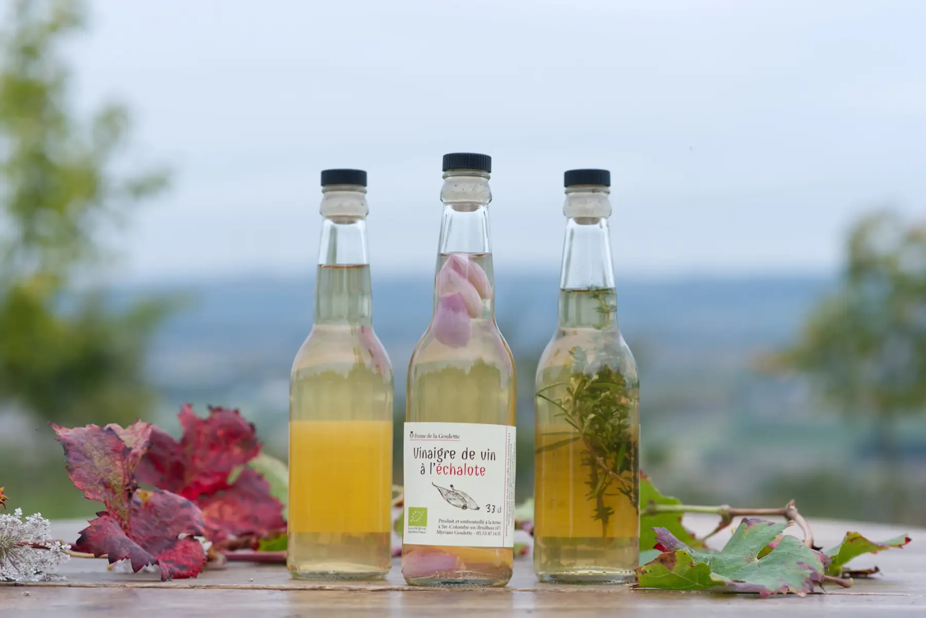 vinaigre de vin blanc à l'échalote