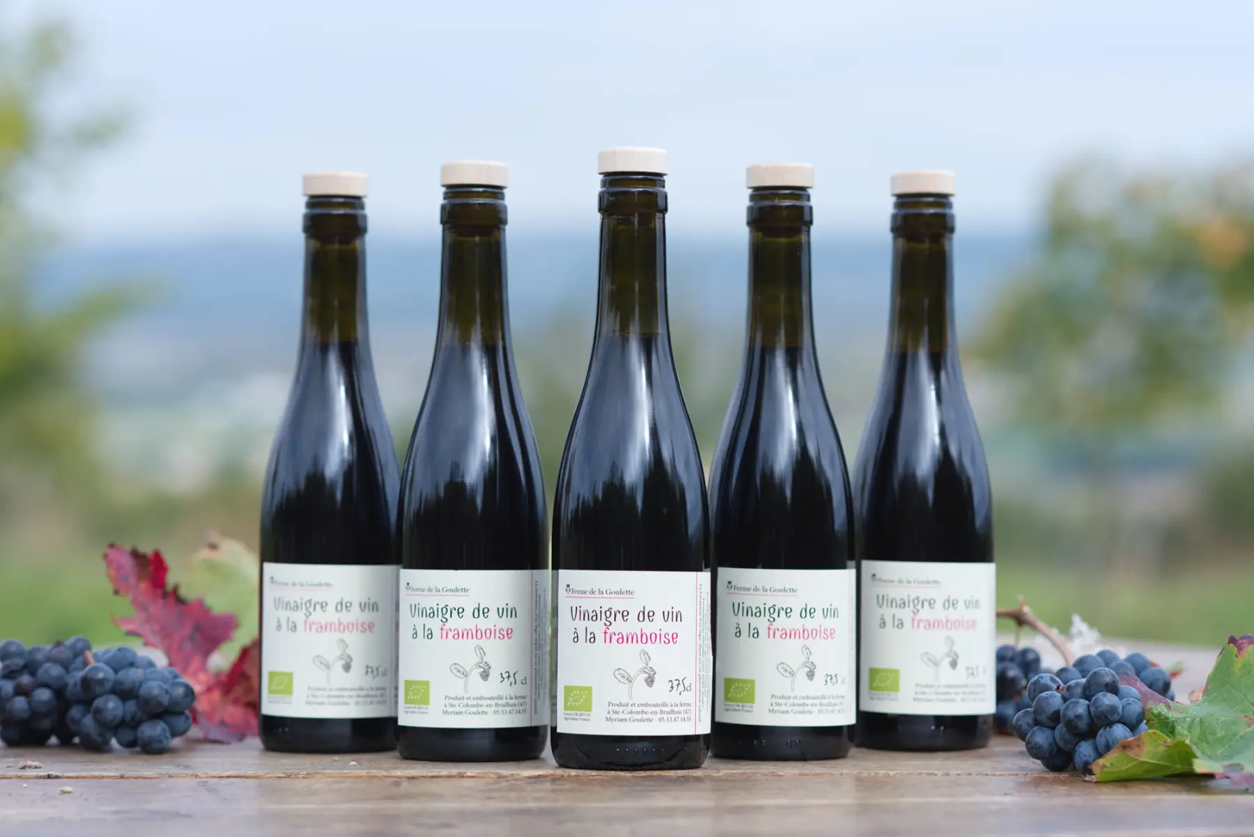 vinaigre de vin rouge à la framboise