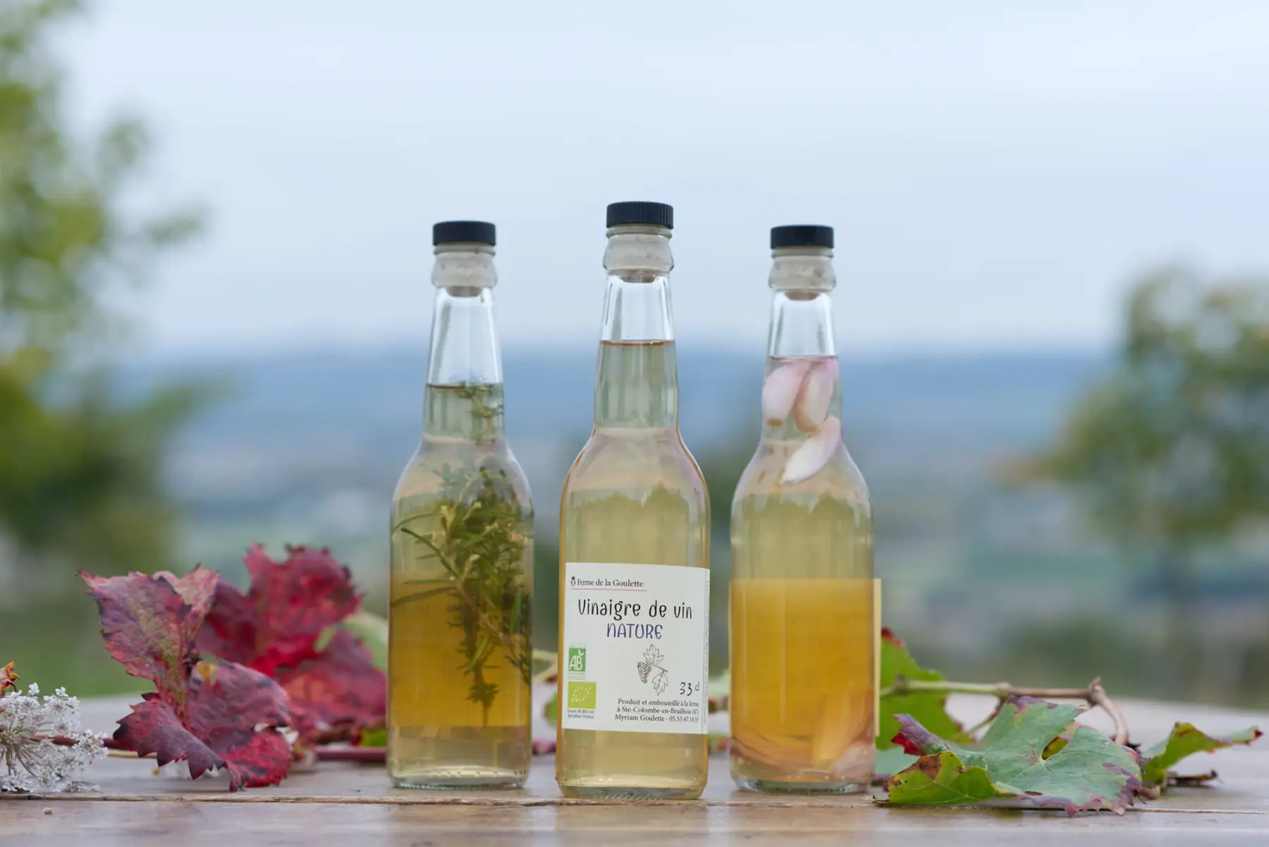 vinaigre de vin blanc nature