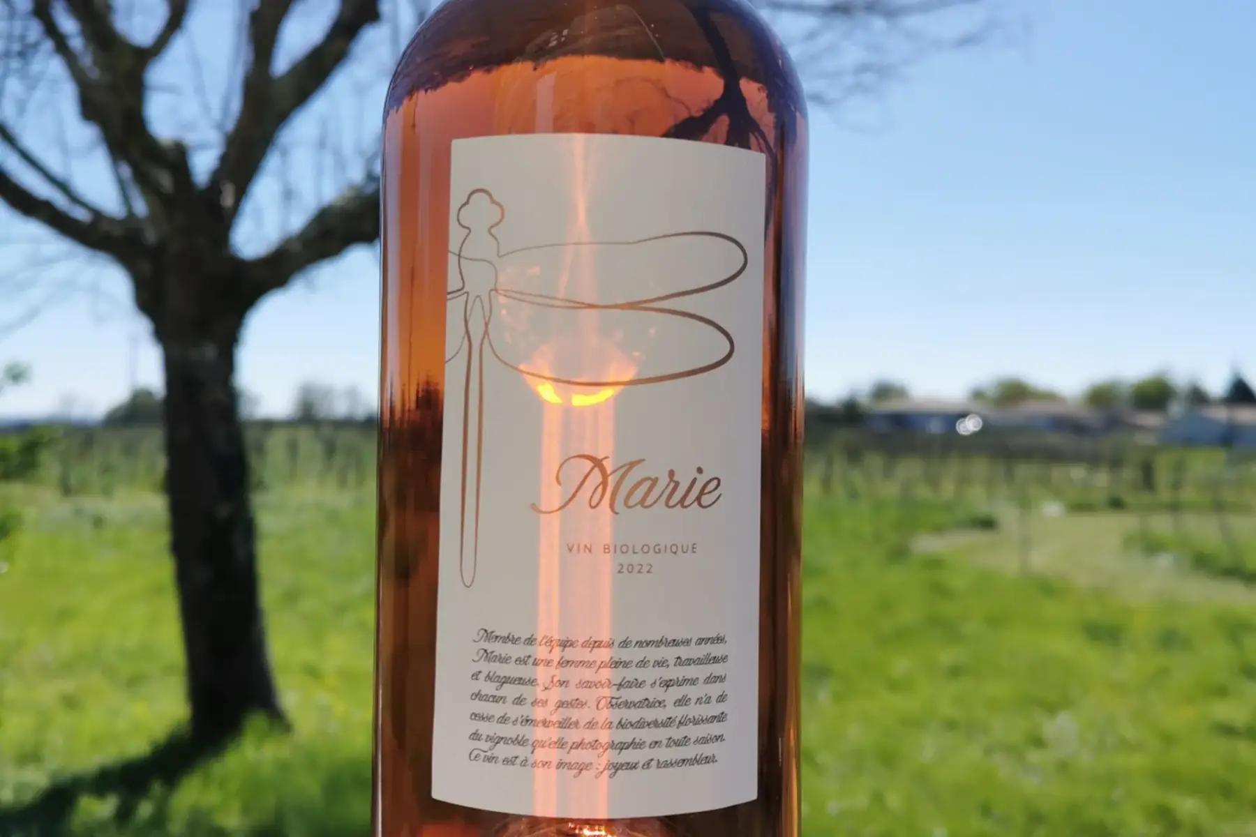 marie, rosé 2022