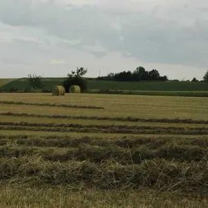 La Ferme de la RETCHE