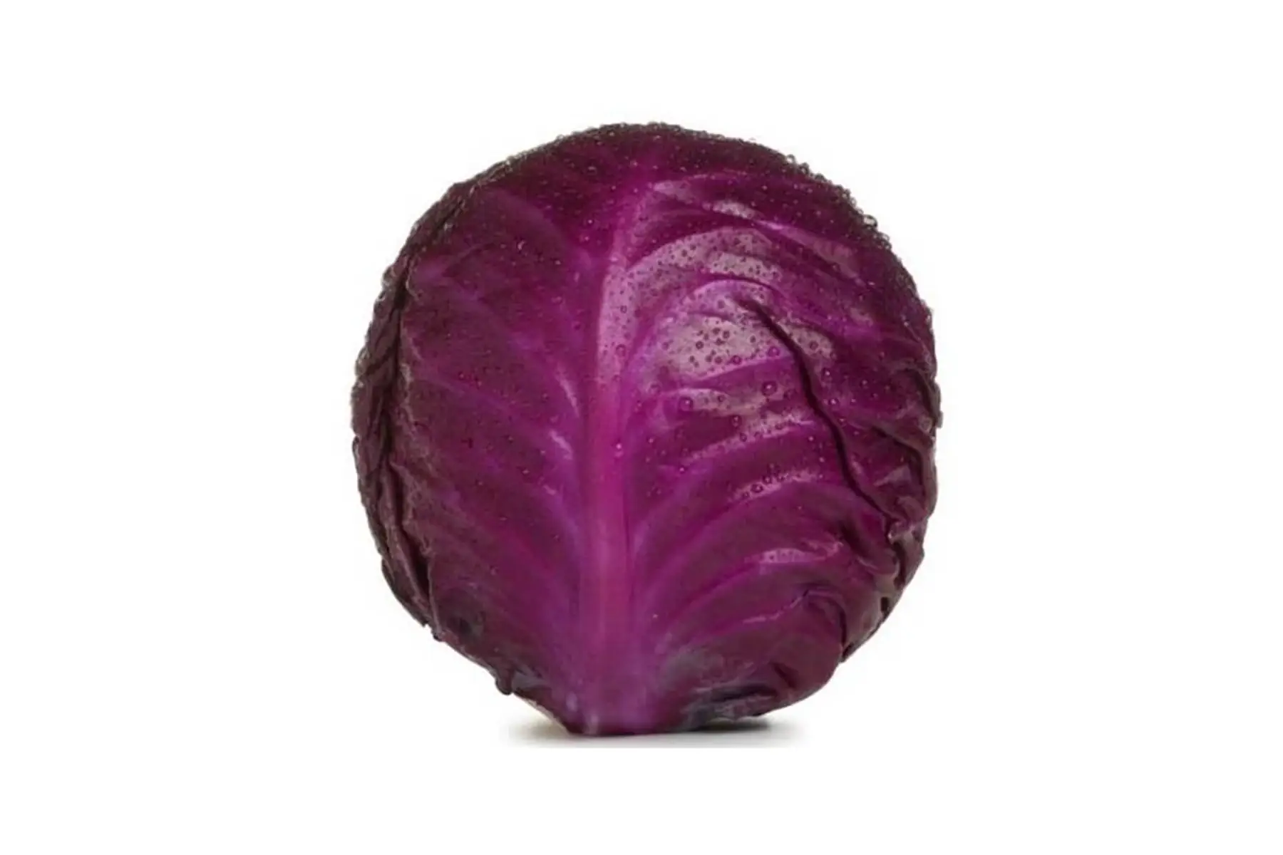 chou rouge Bio