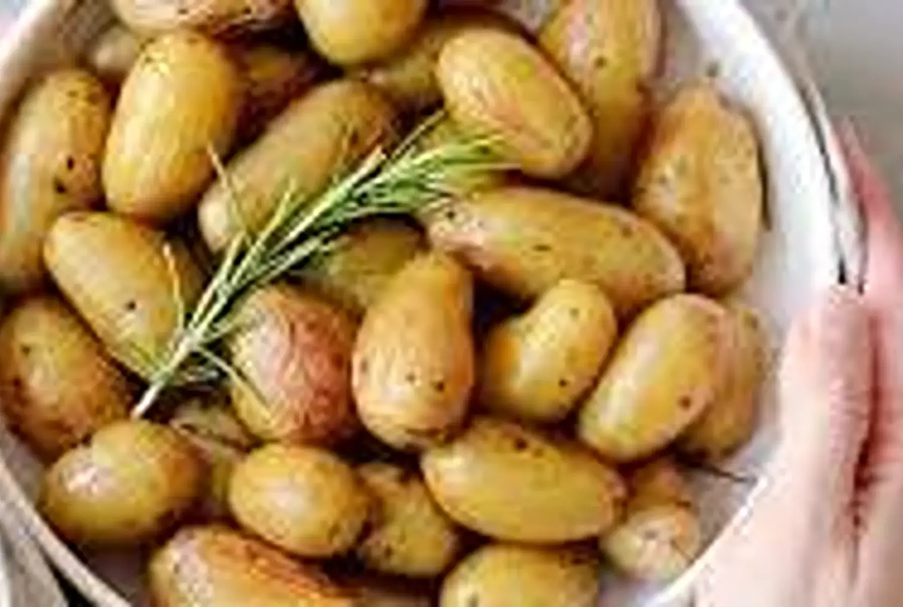 pomme de terre grenaille bio