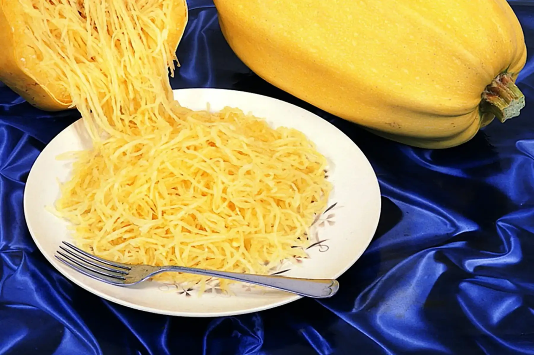 courge spaghetti bio