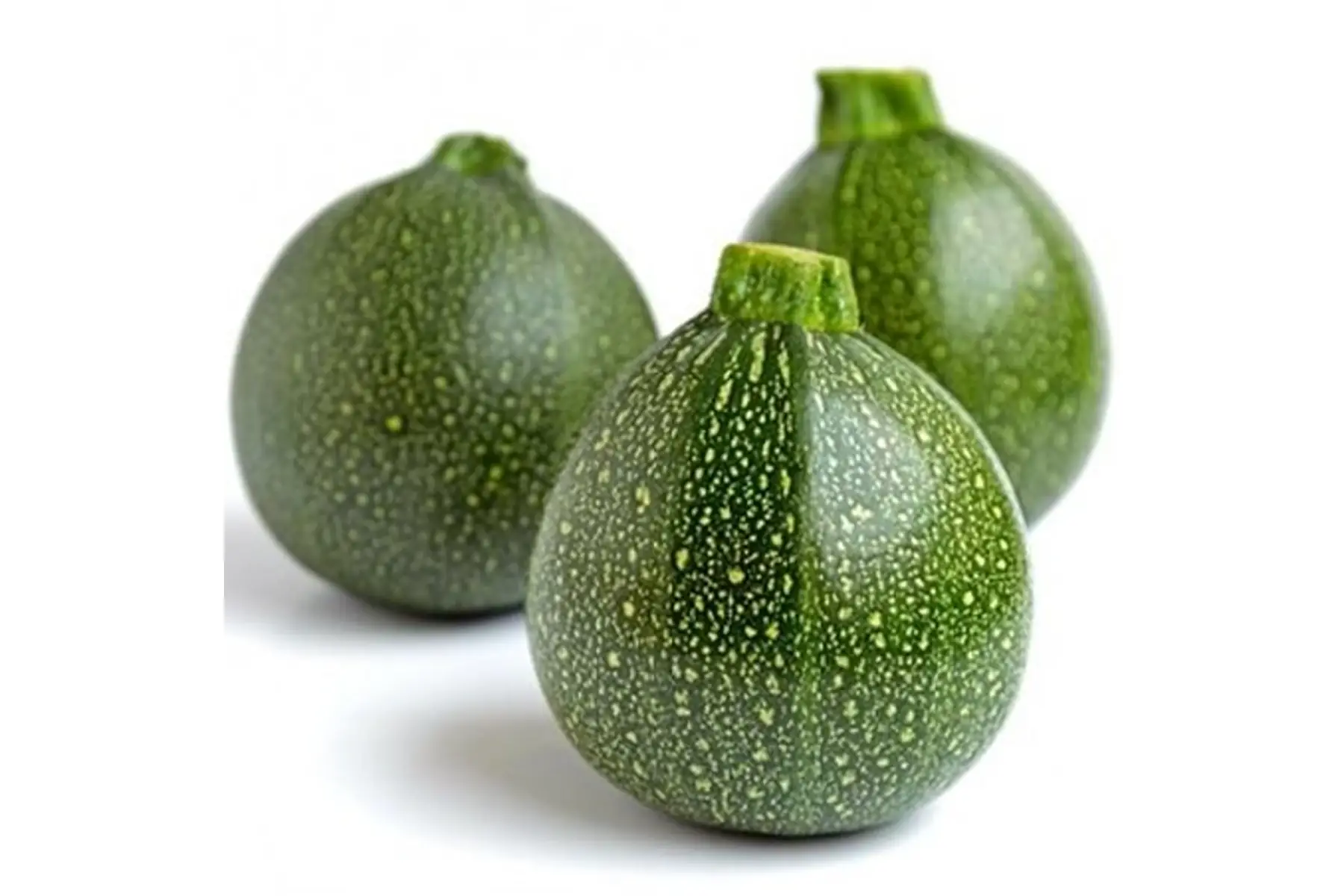 courgettes ronde bio