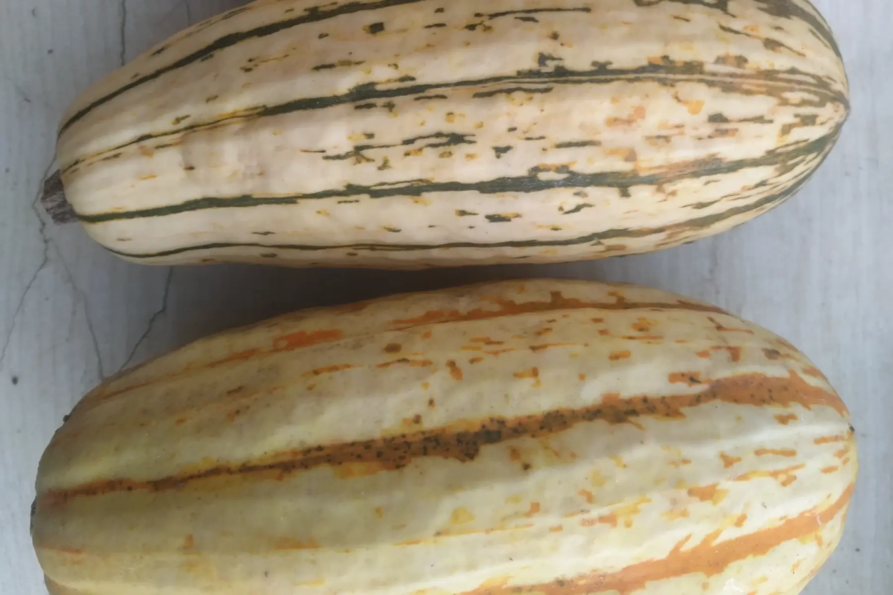 Le Jardin du Petit Posset