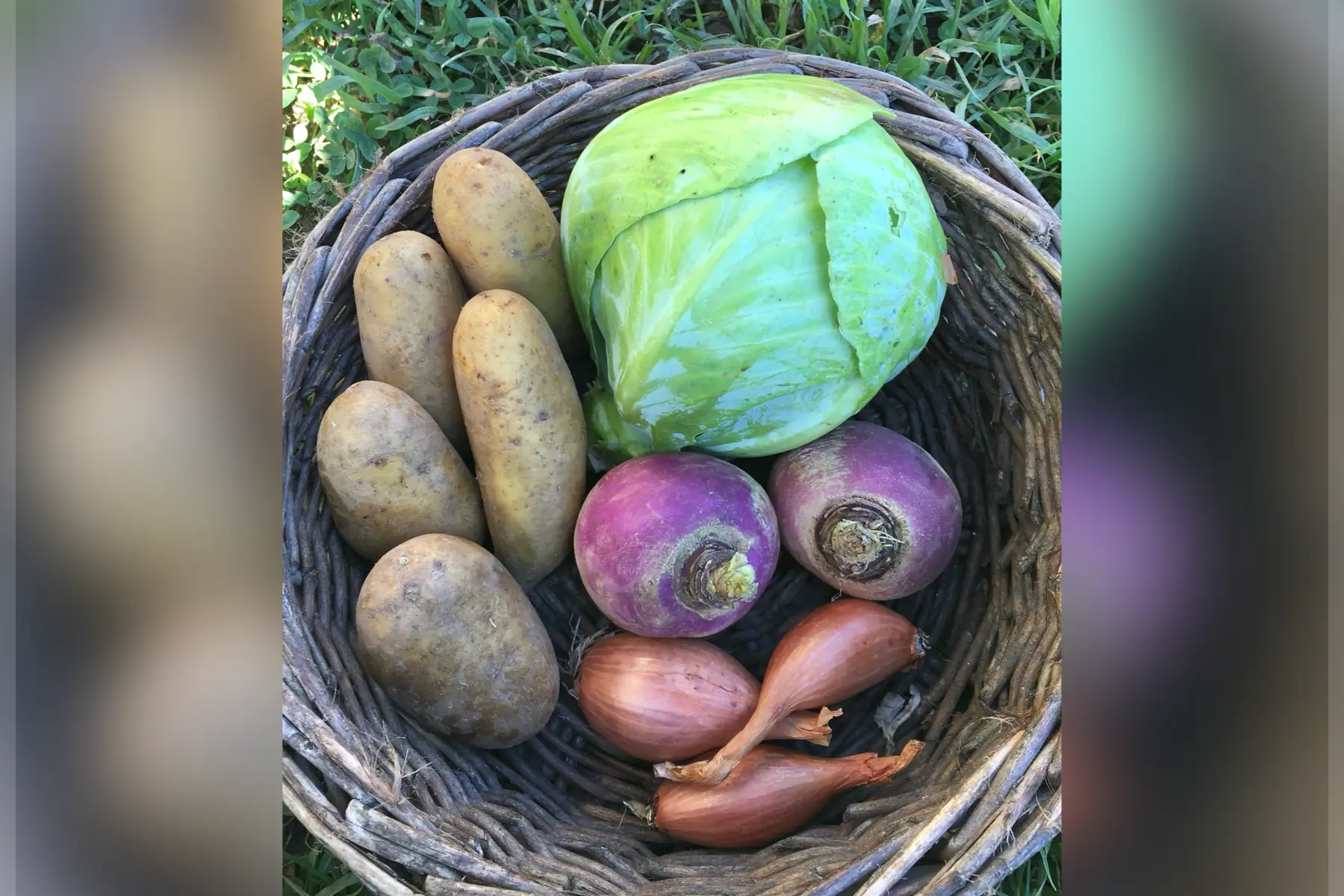 Les Jardins de Berthegon