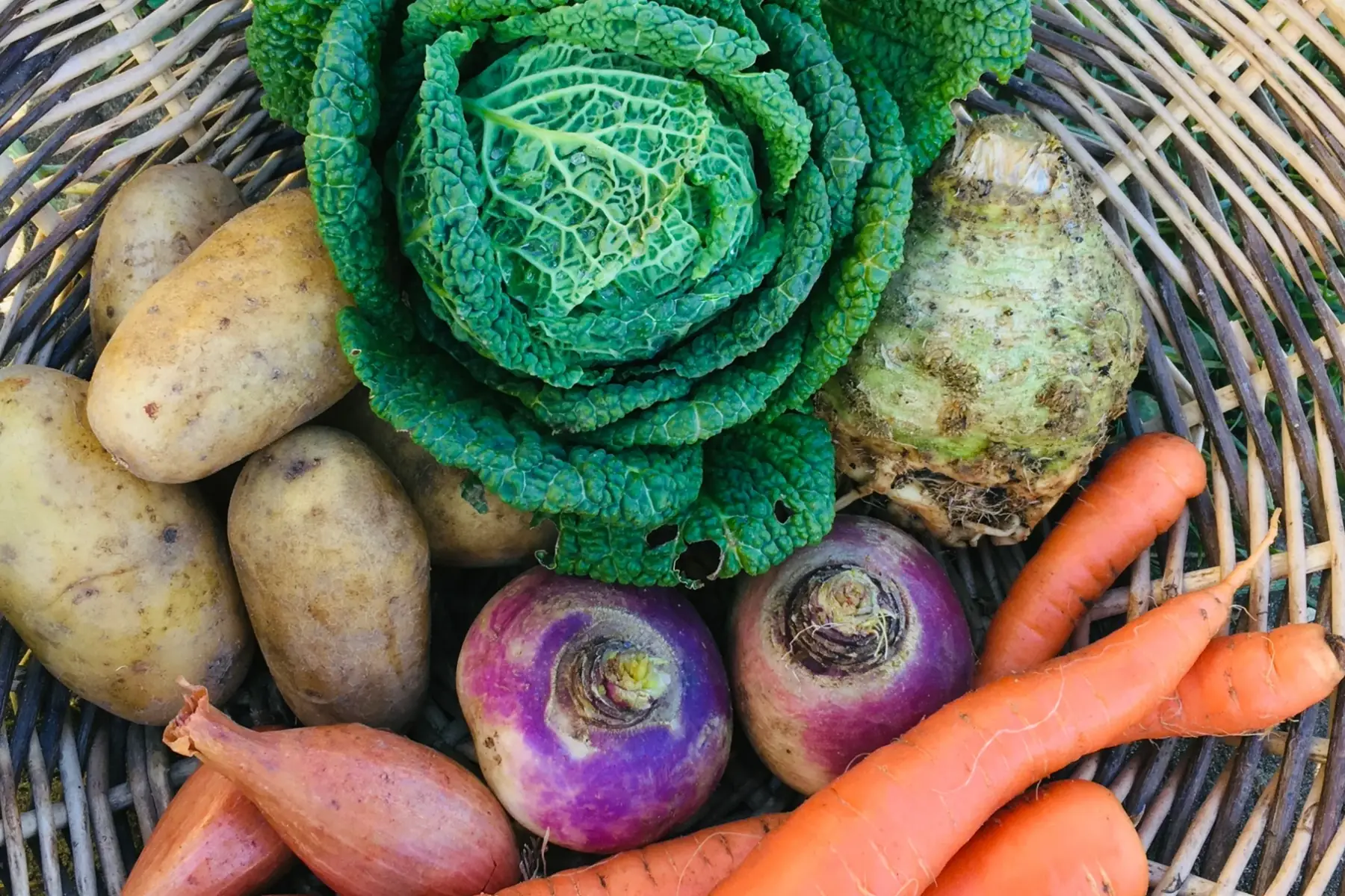 kit pour poêlée bio de fin d'hiver