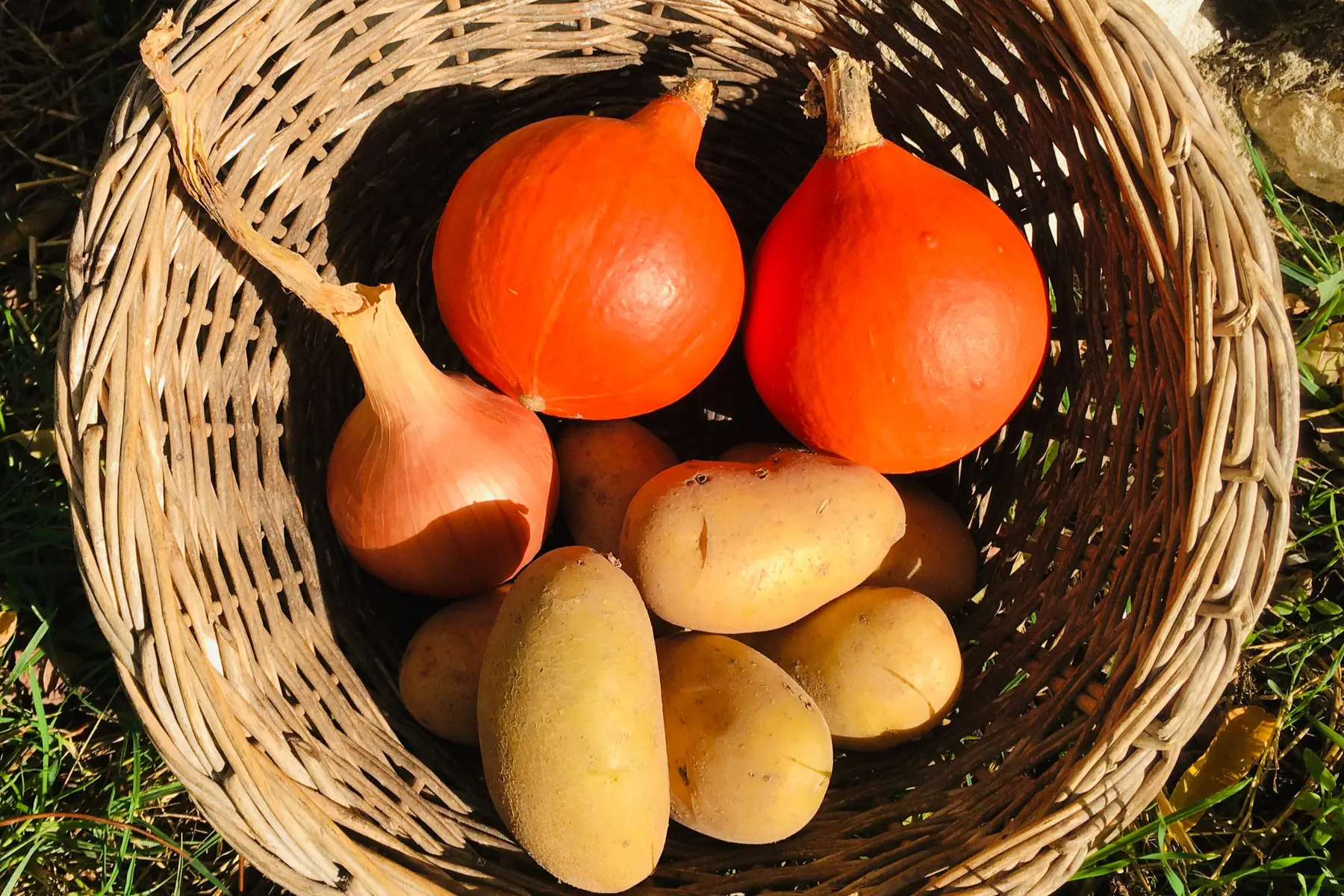 kit pour soupe bio aux potimarrons