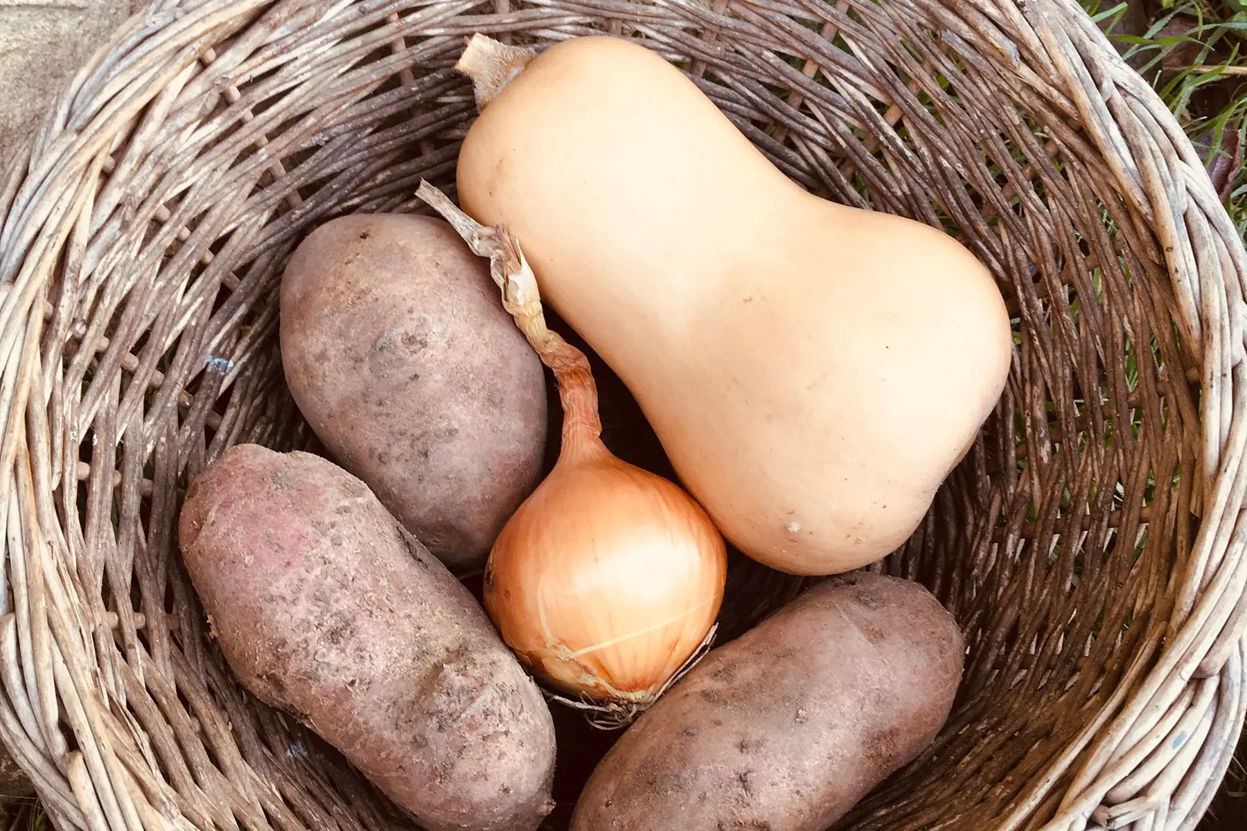 kit pour soupe bio à la butternut
