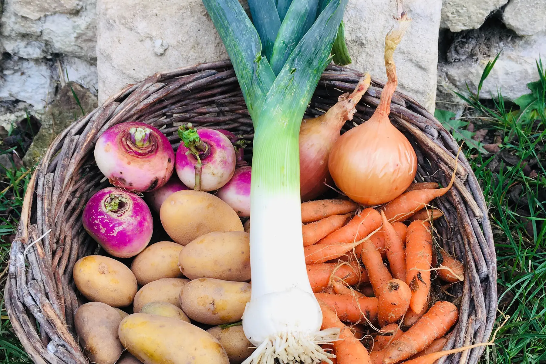 kit pour mijoté de petits légumes bio