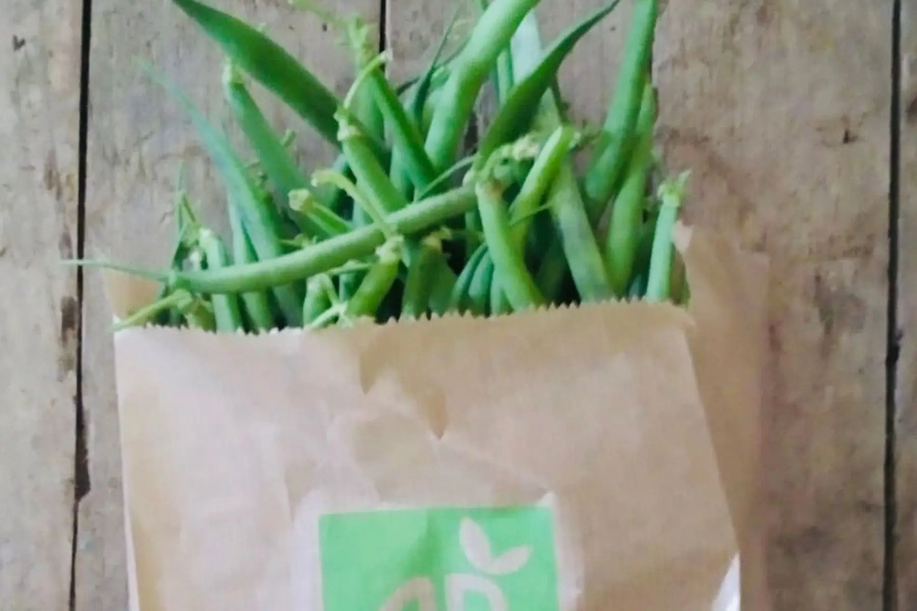 haricots verts bio