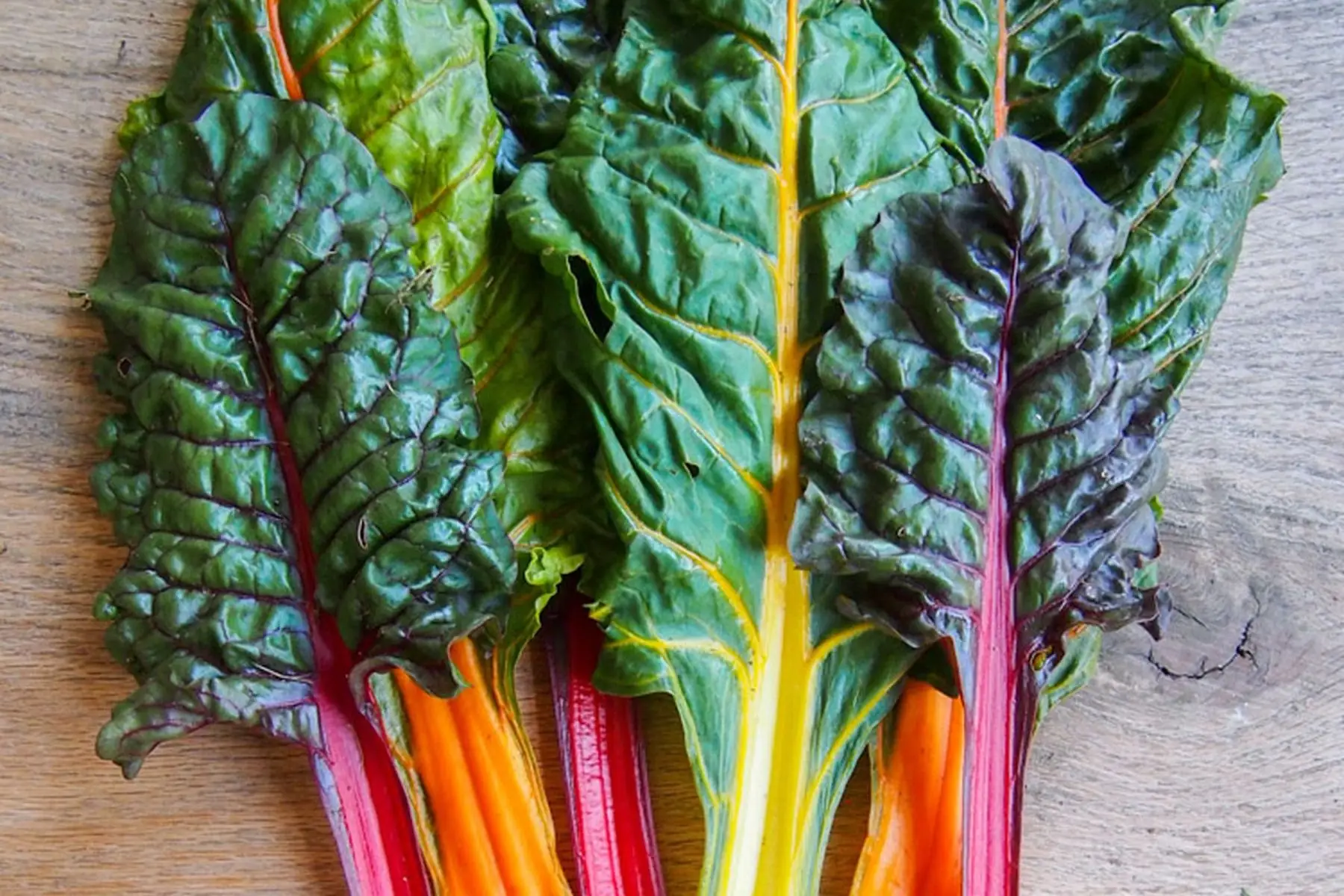 bettes à cardes couleur bio (bouquet)