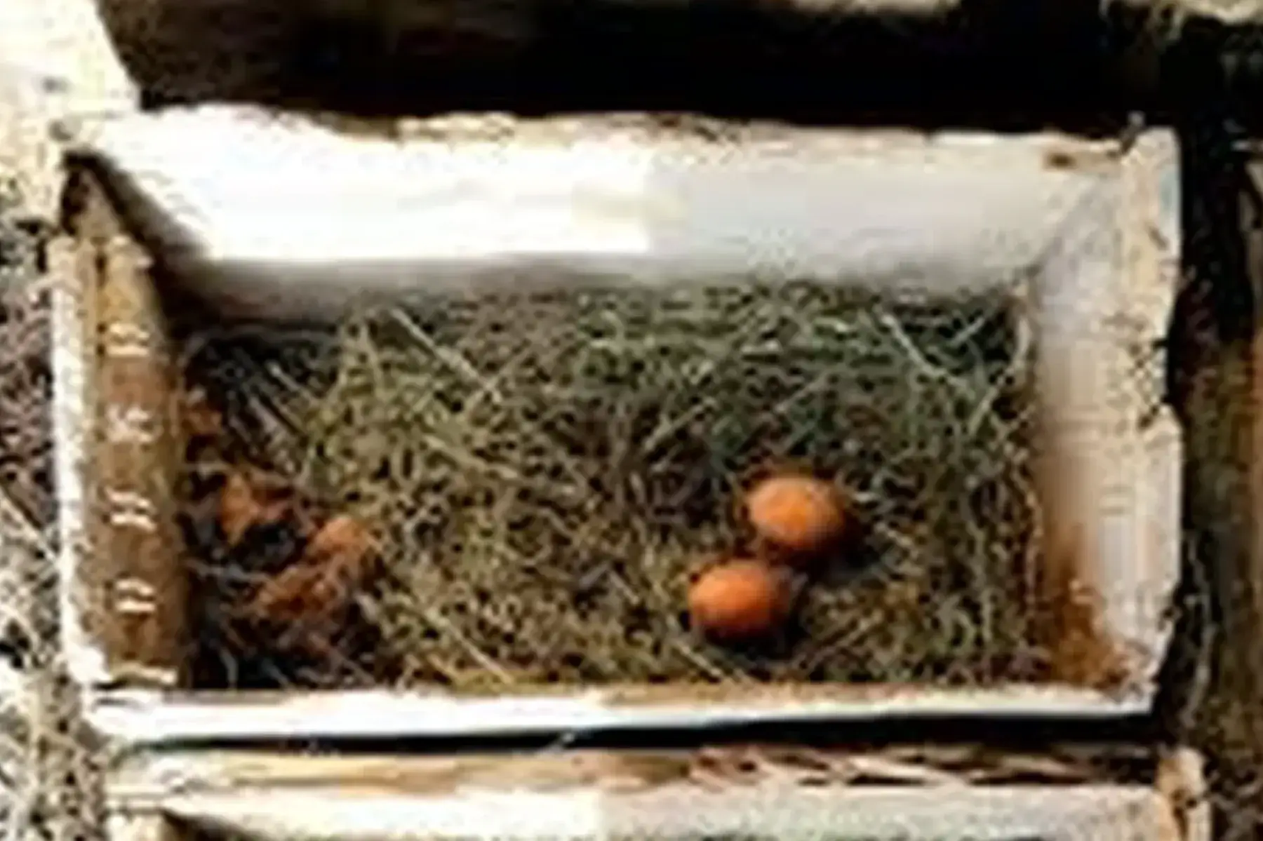 La Ferme De Castagnols