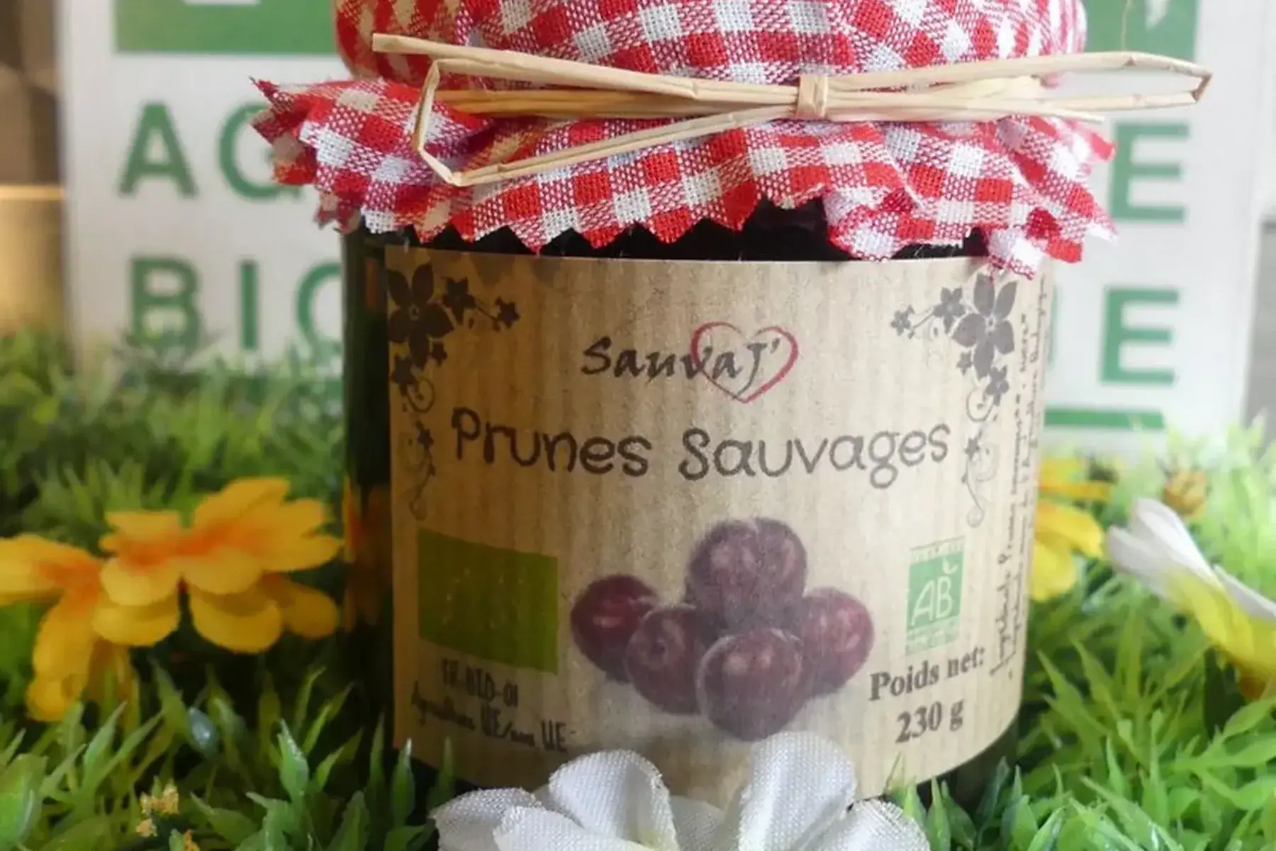 confiture de prunes sauvages (rouges)