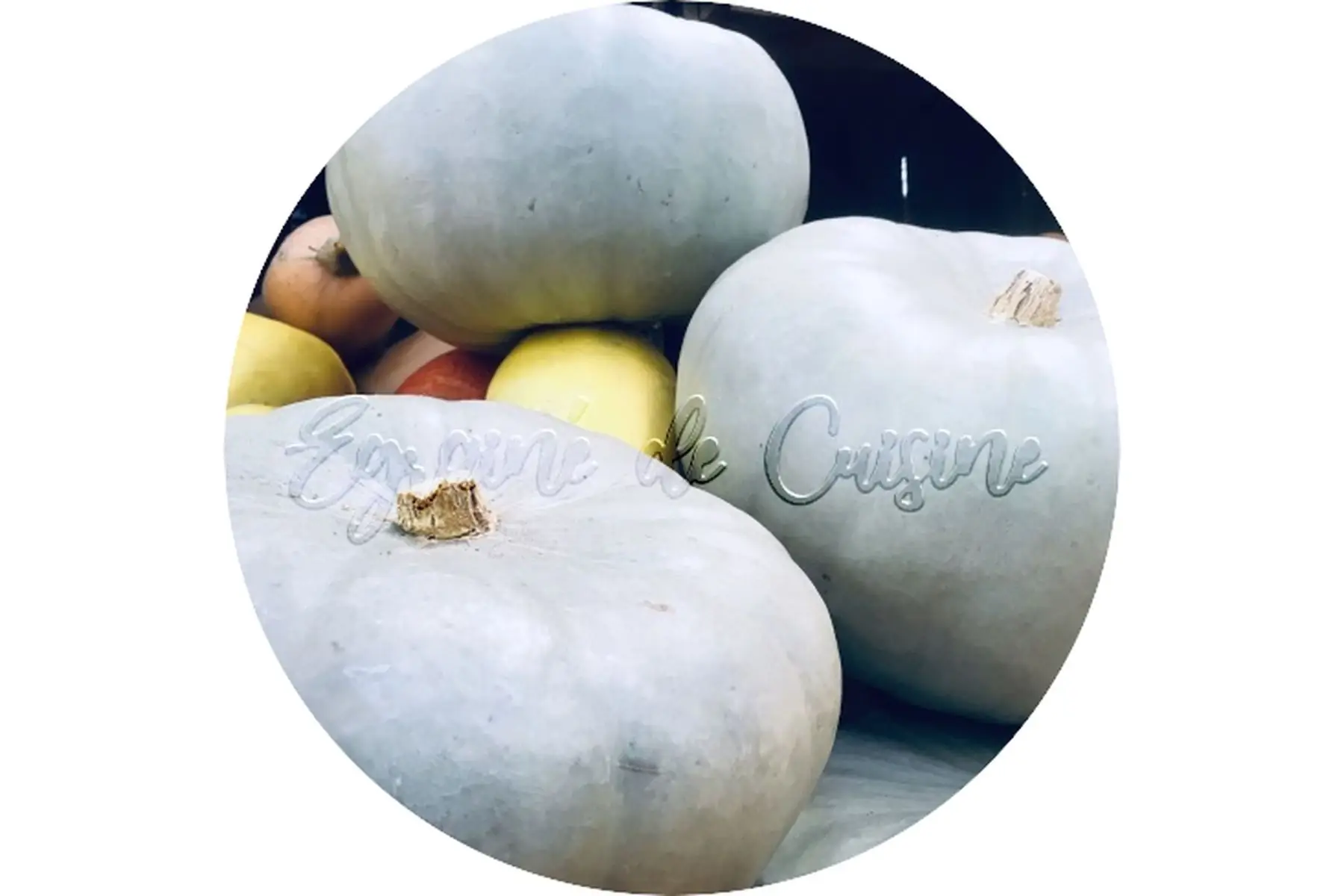 courge bleu de hongrie