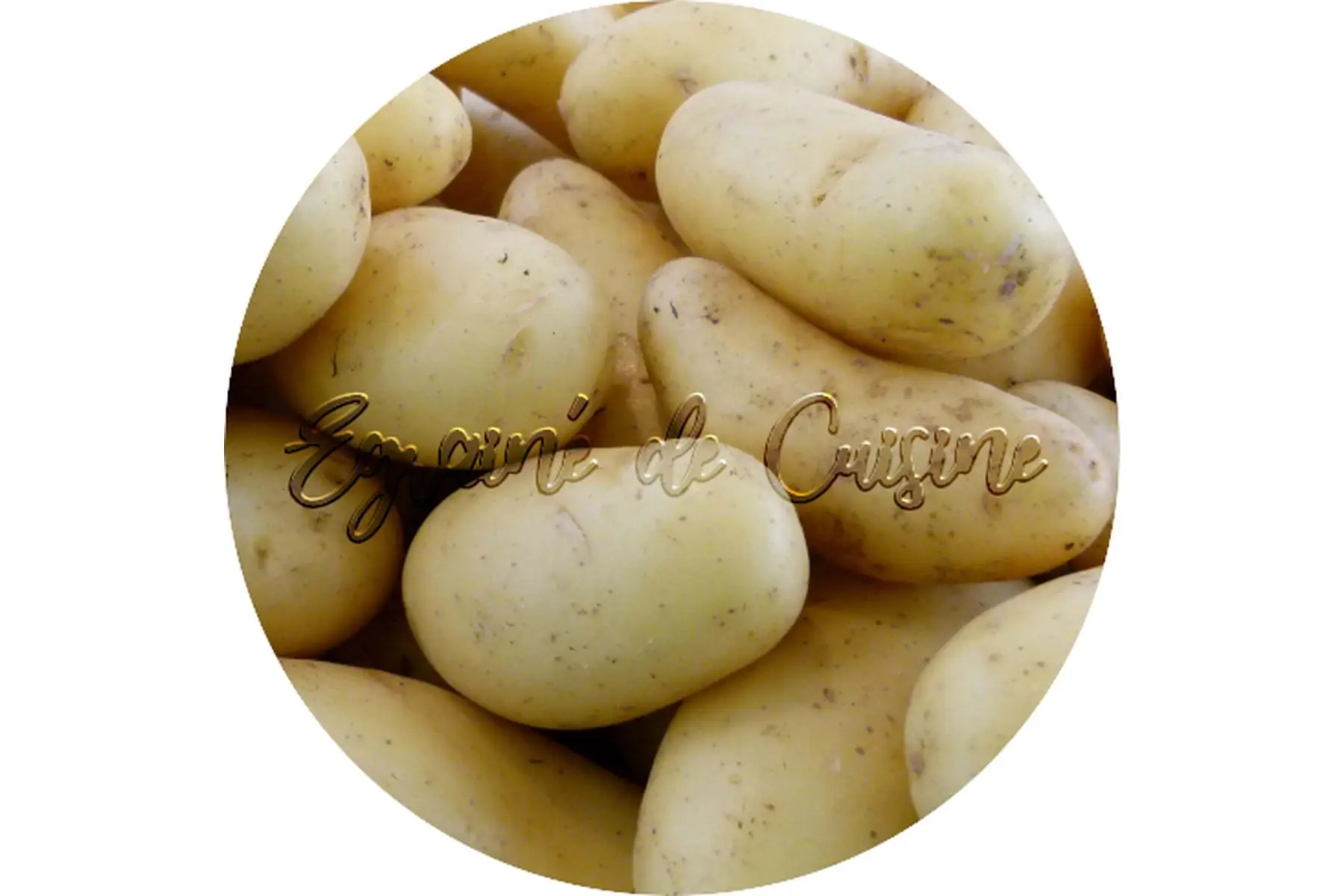 pomme de terre conservation (bintje)