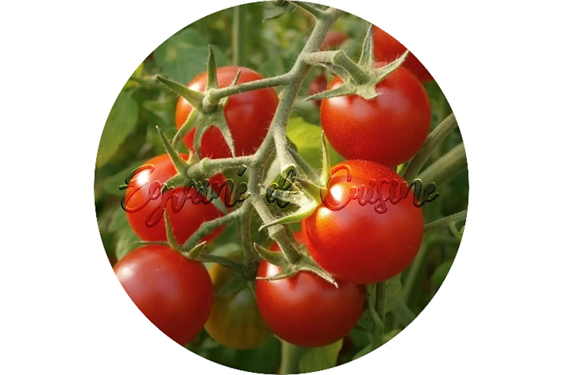 tomate cerise