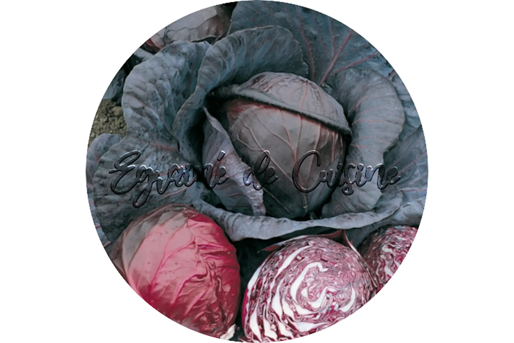 chou rouge
