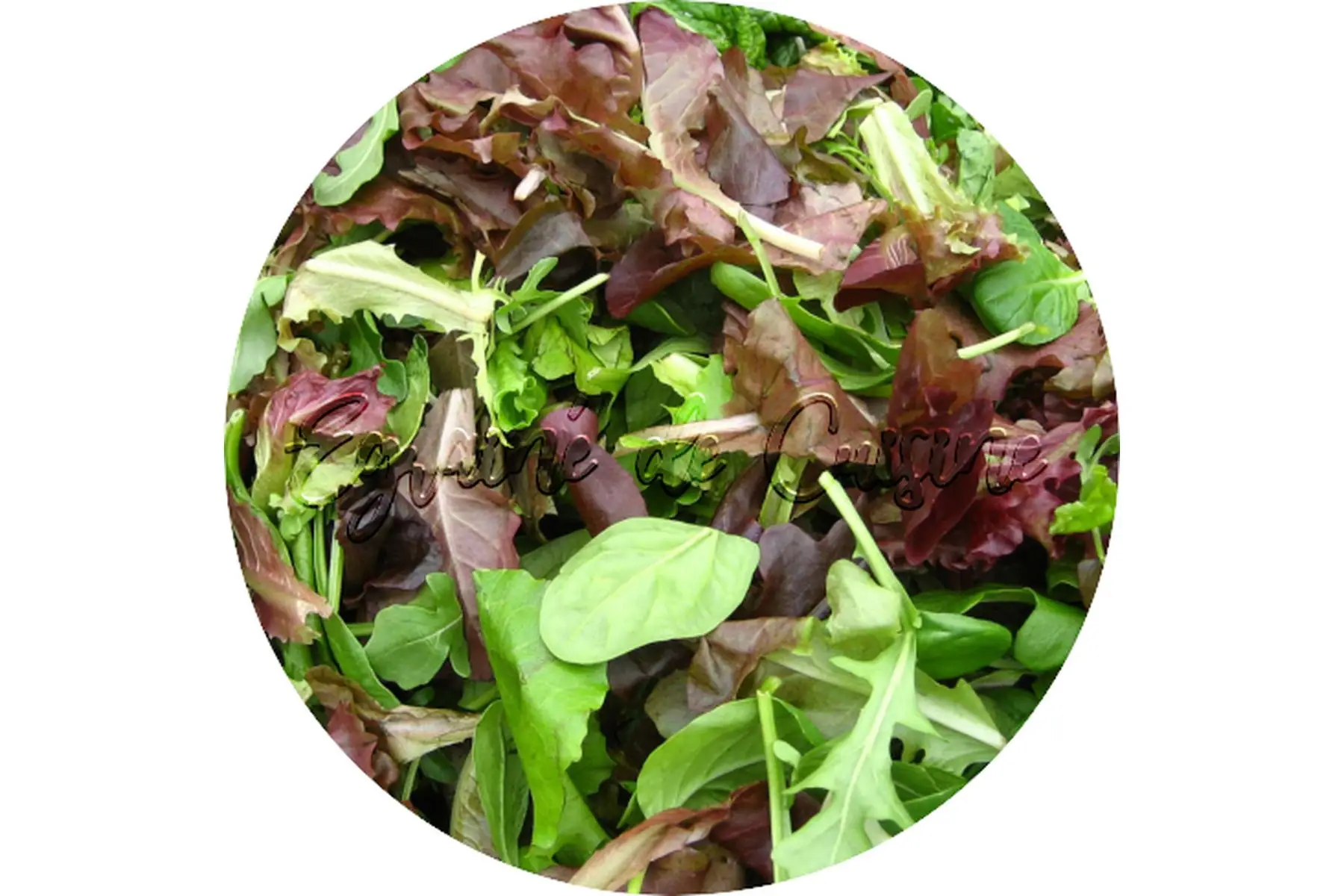 mesclun