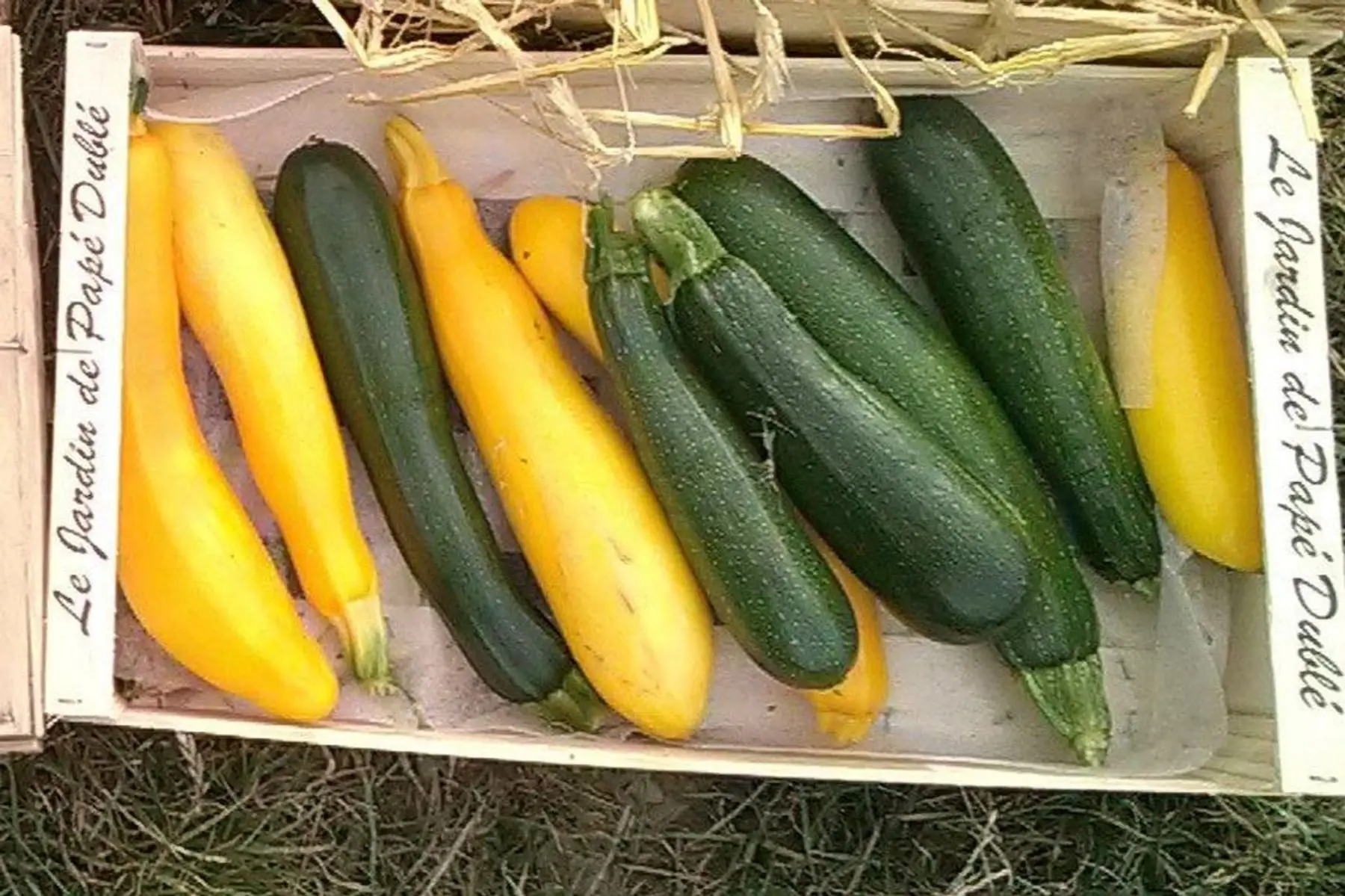 courgettes