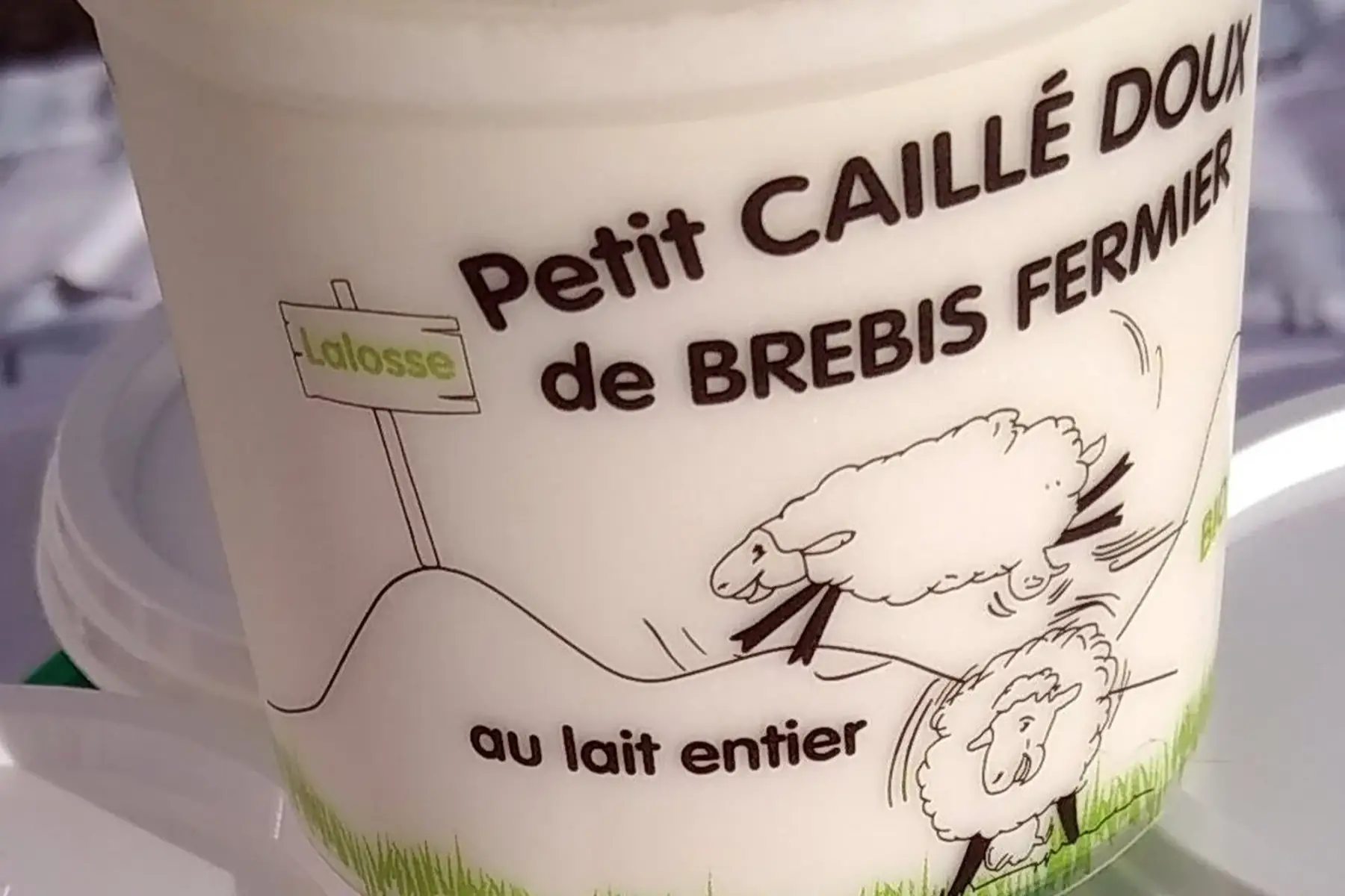 lot de 4 petits caillés doux de brebis