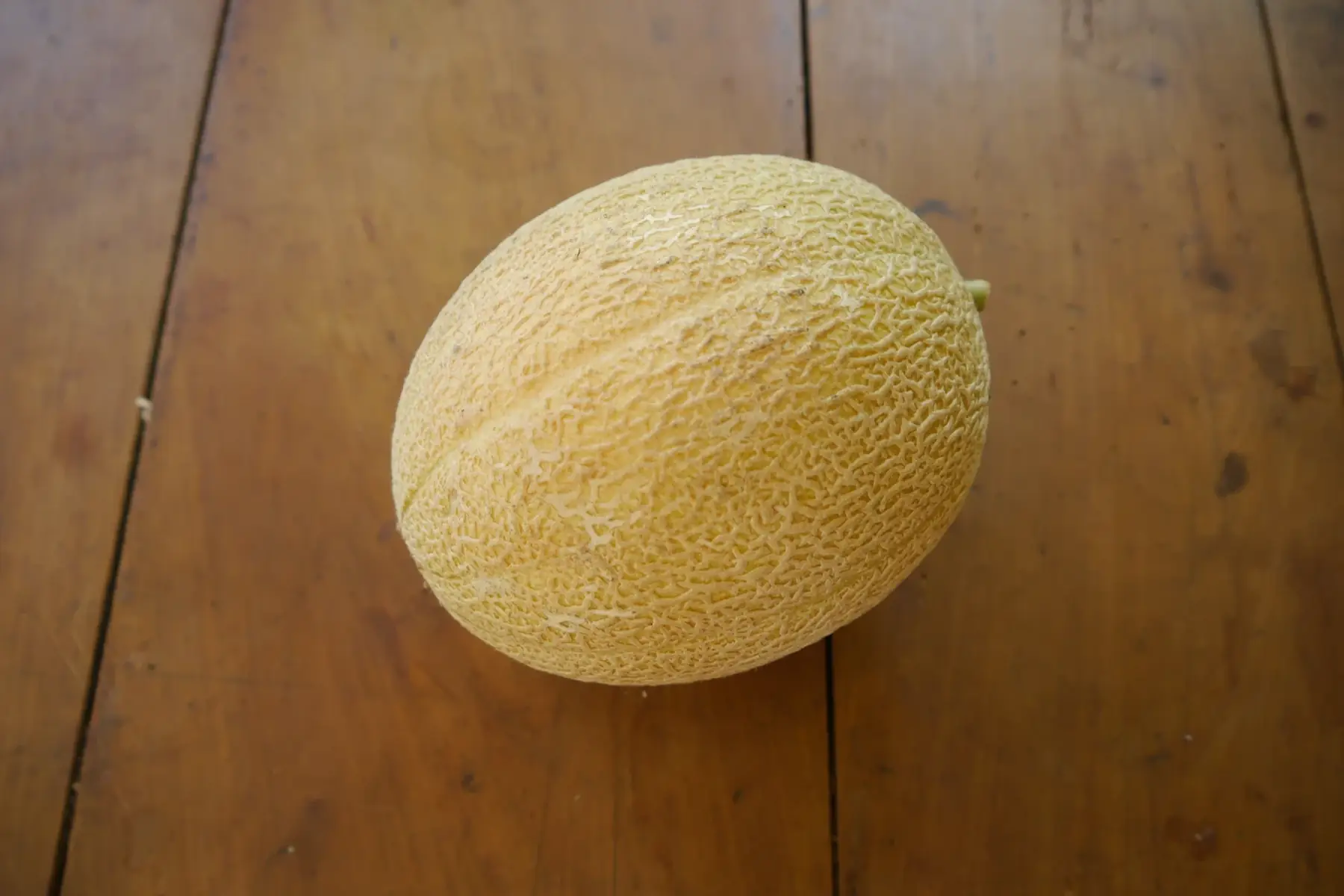melon